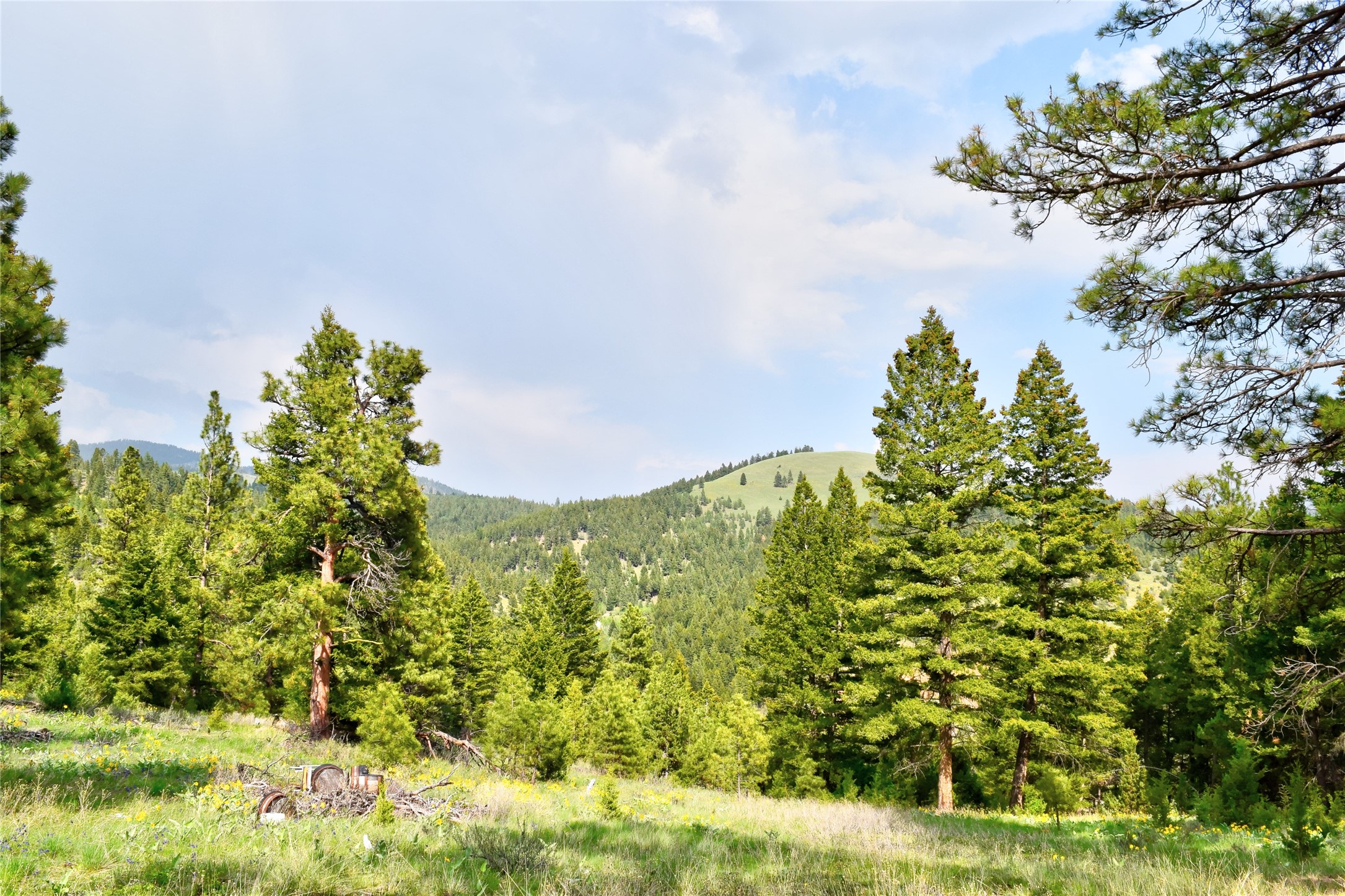 151 Bear Tracks Road