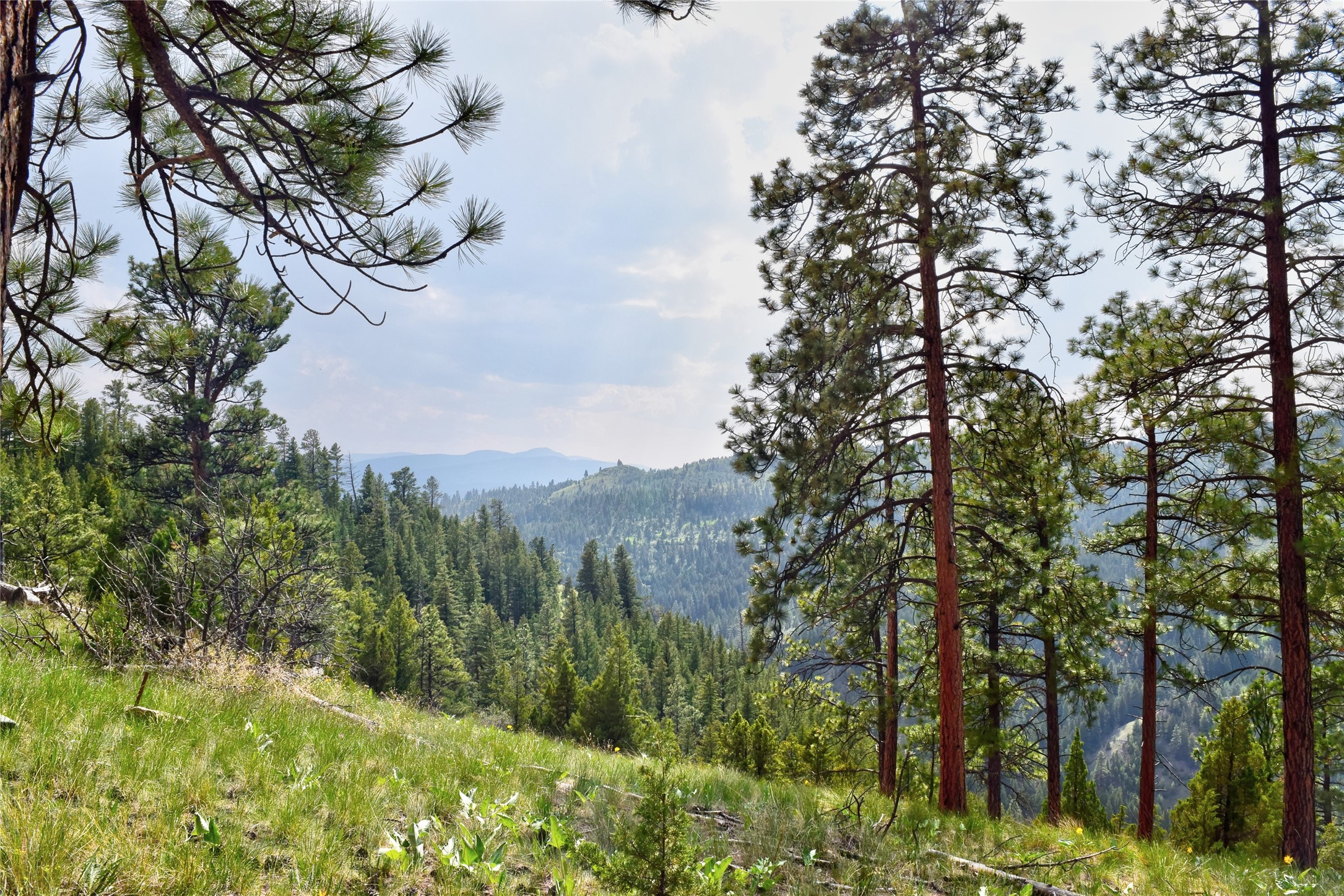 151 Bear Tracks Road