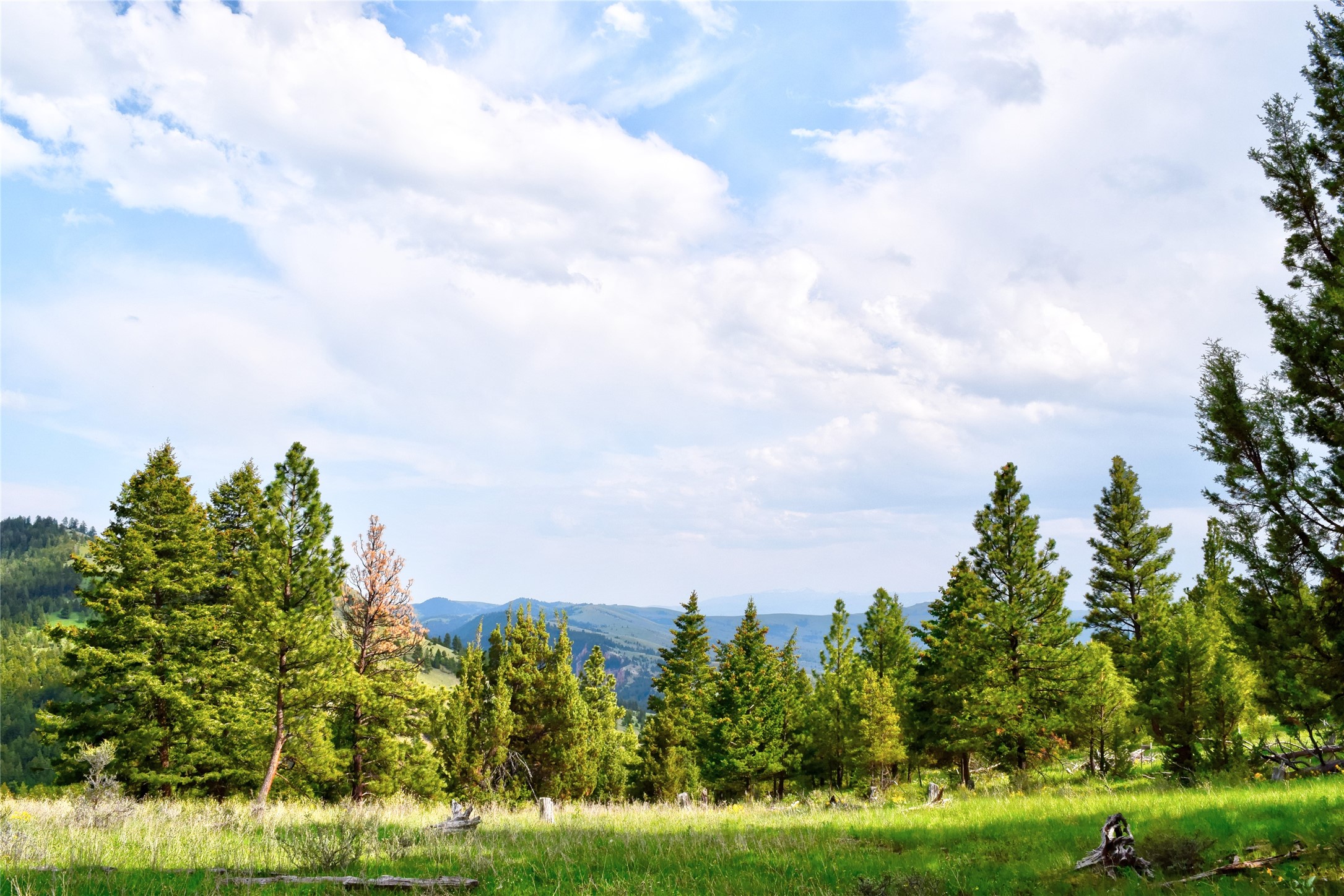 151 Bear Tracks Road