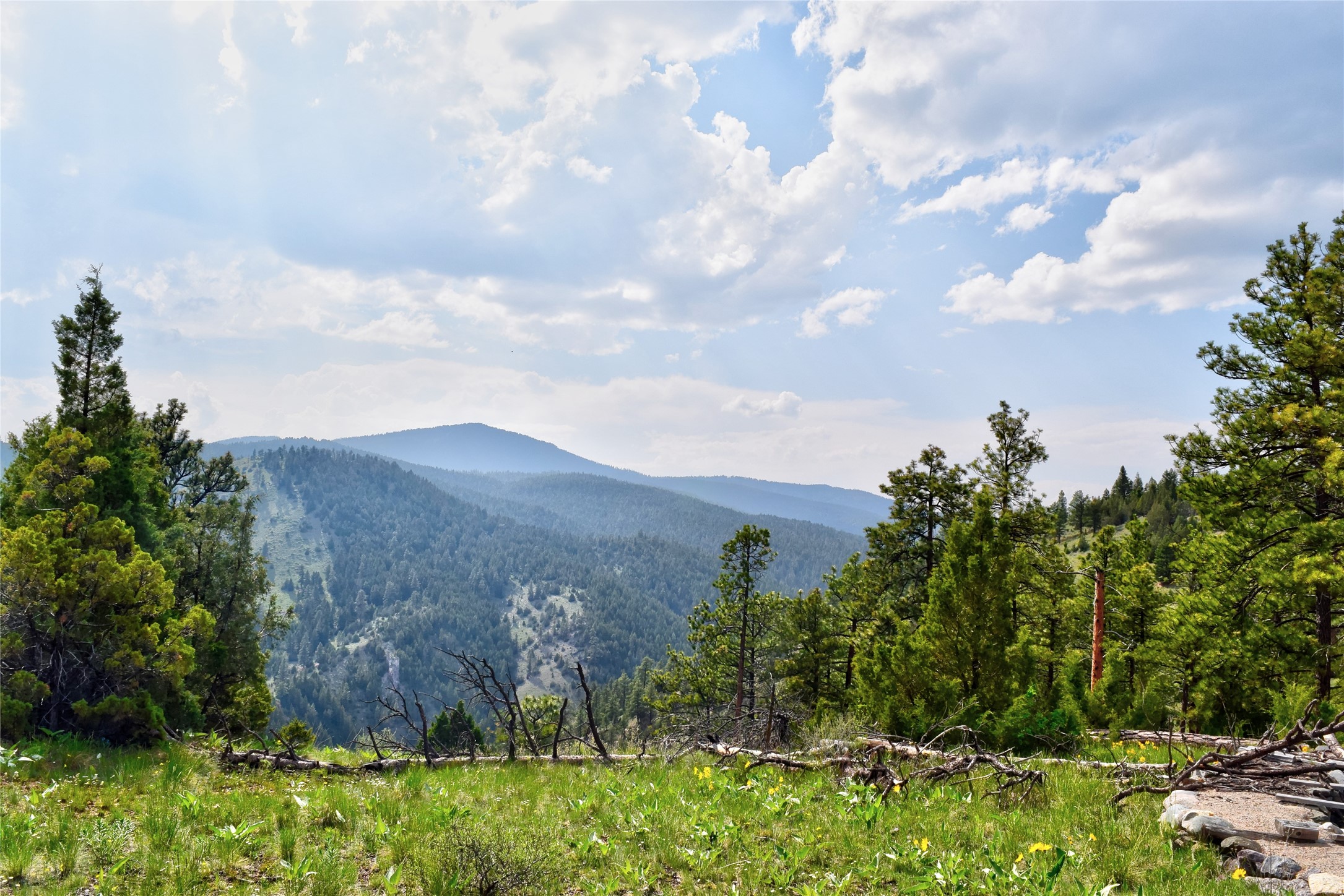 151 Bear Tracks Road