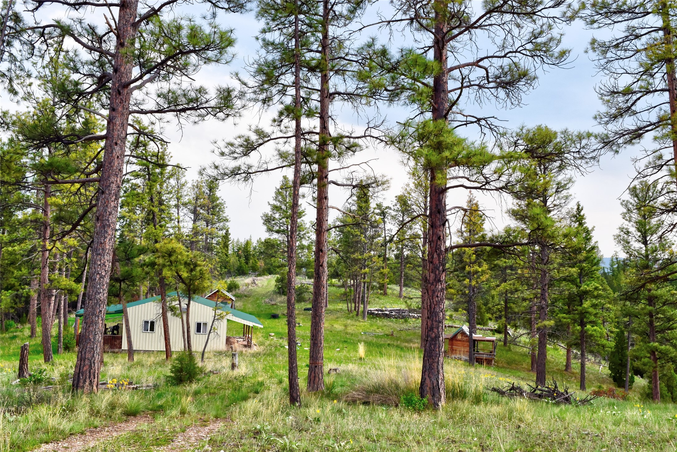 151 Bear Tracks Road