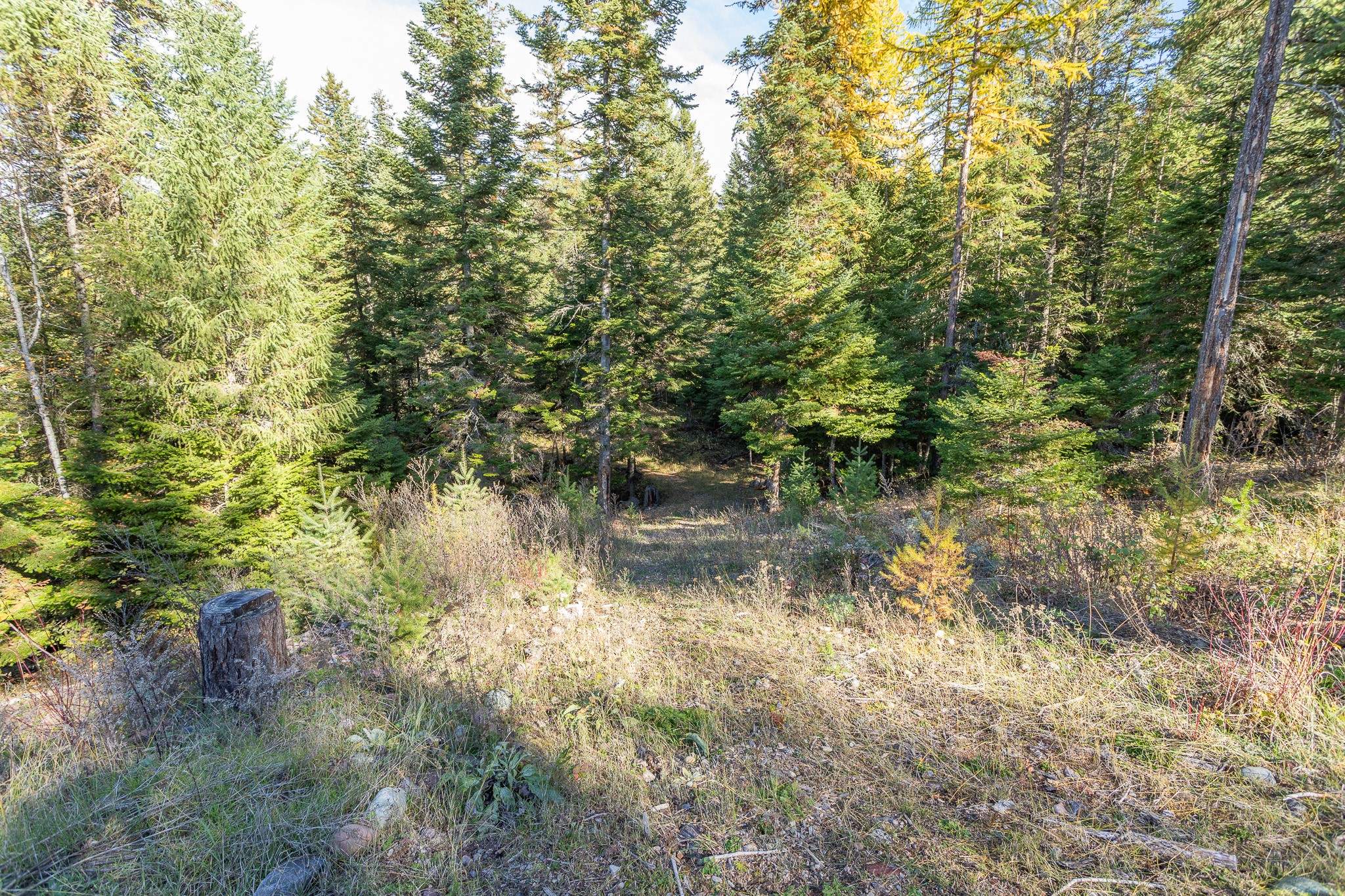 1335 Rolling Ridge Loop