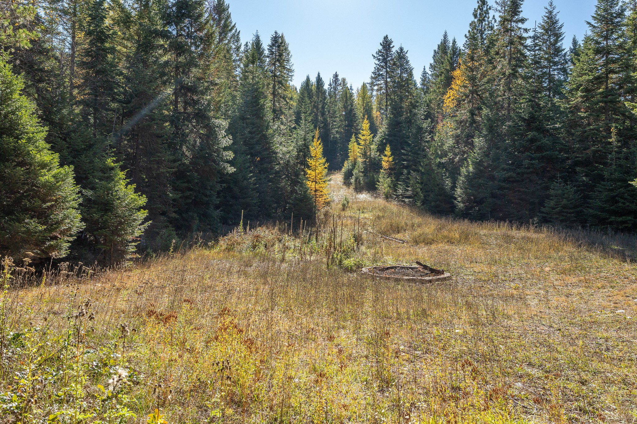 1335 Rolling Ridge Loop