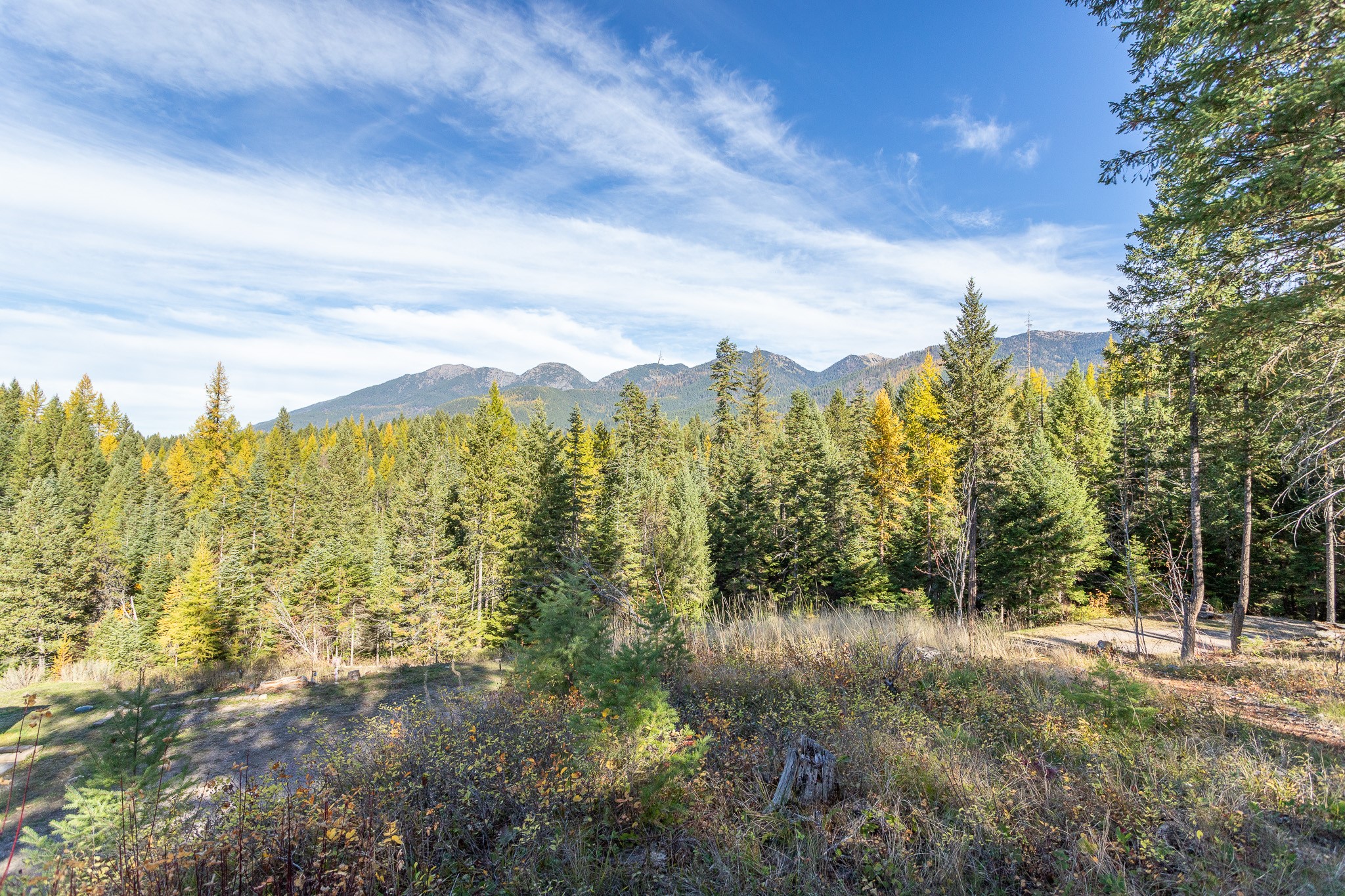 1335 Rolling Ridge Loop