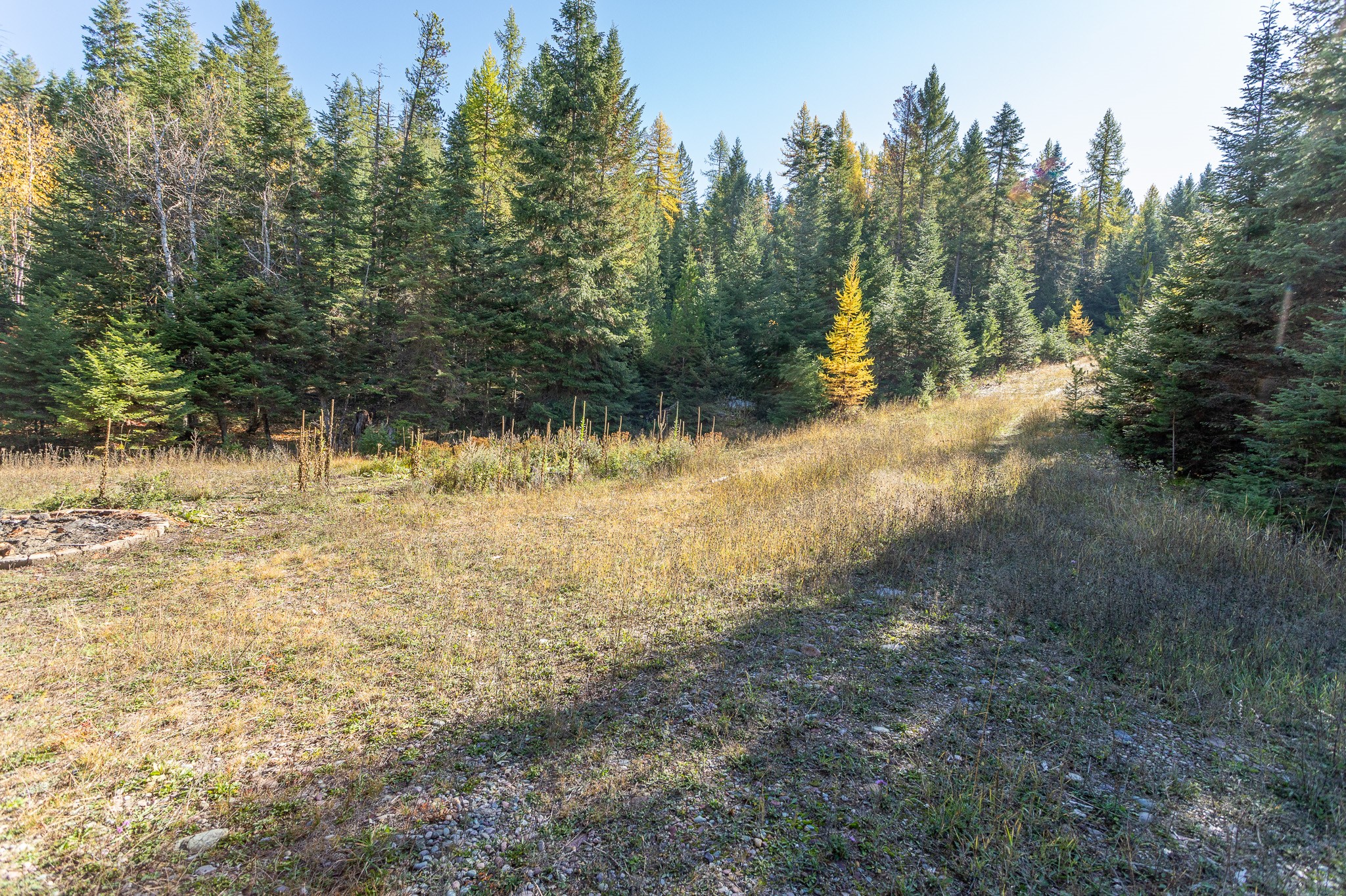 1335 Rolling Ridge Loop