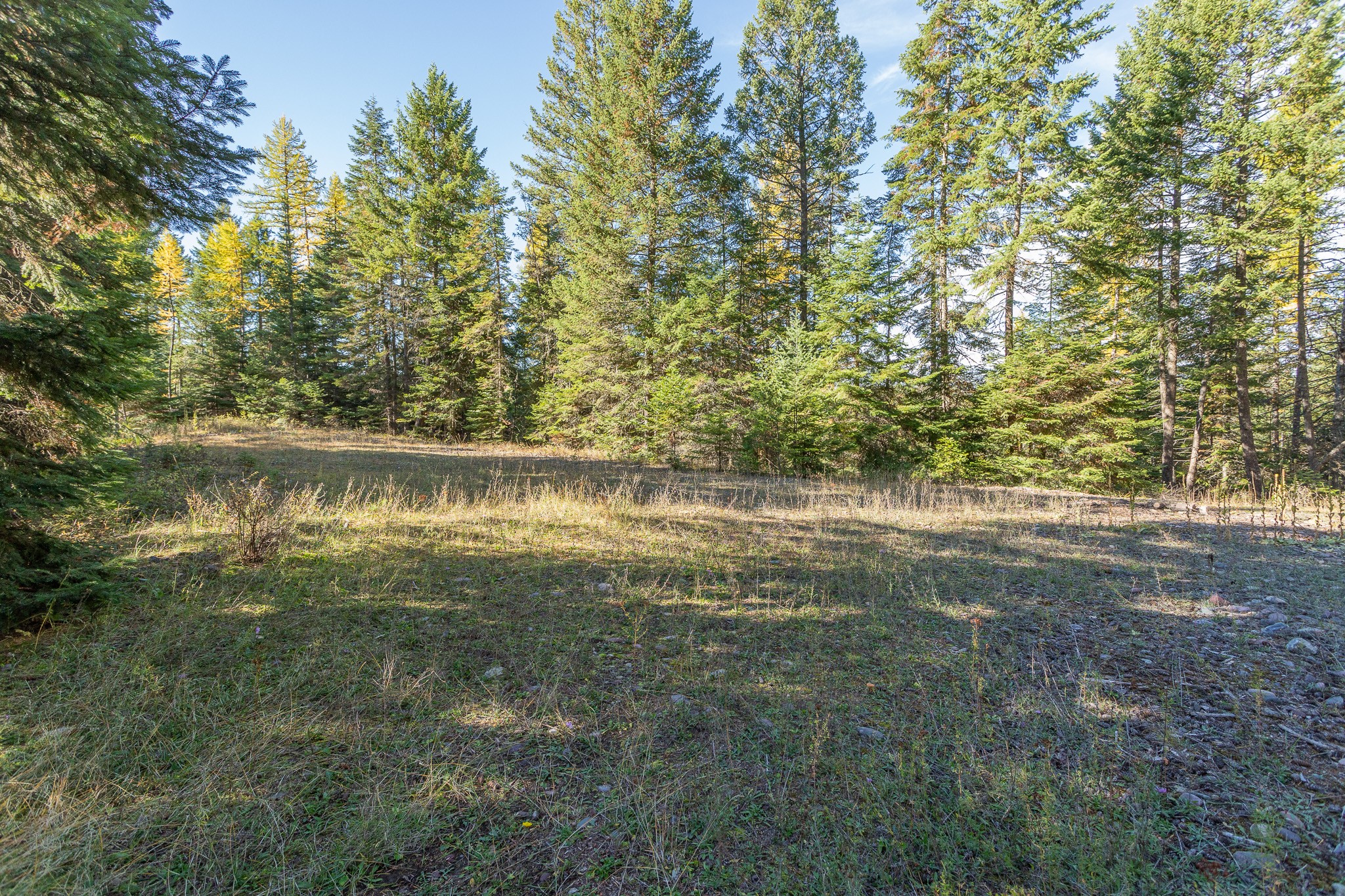 1335 Rolling Ridge Loop