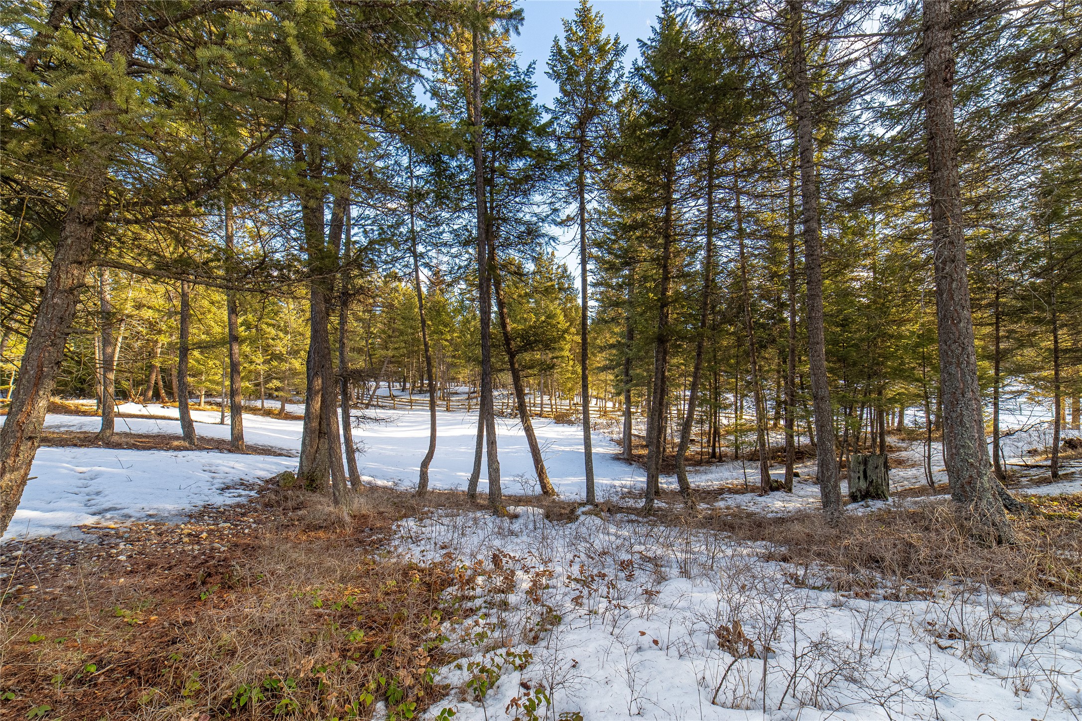 288 Hodgson Pines Way