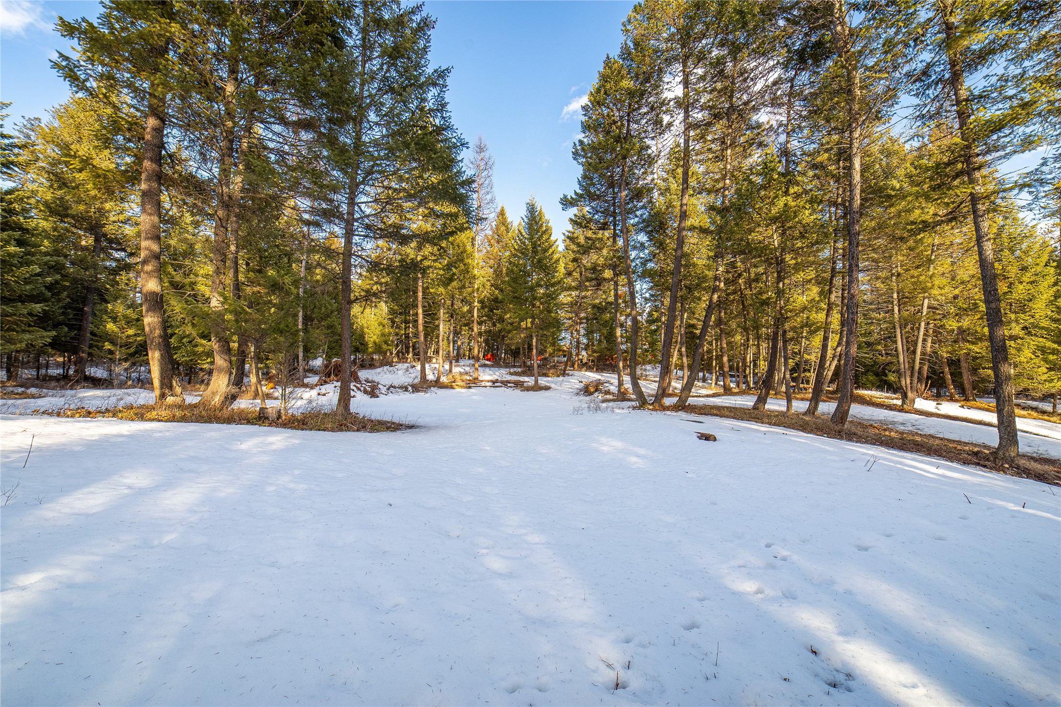 288 Hodgson Pines Way