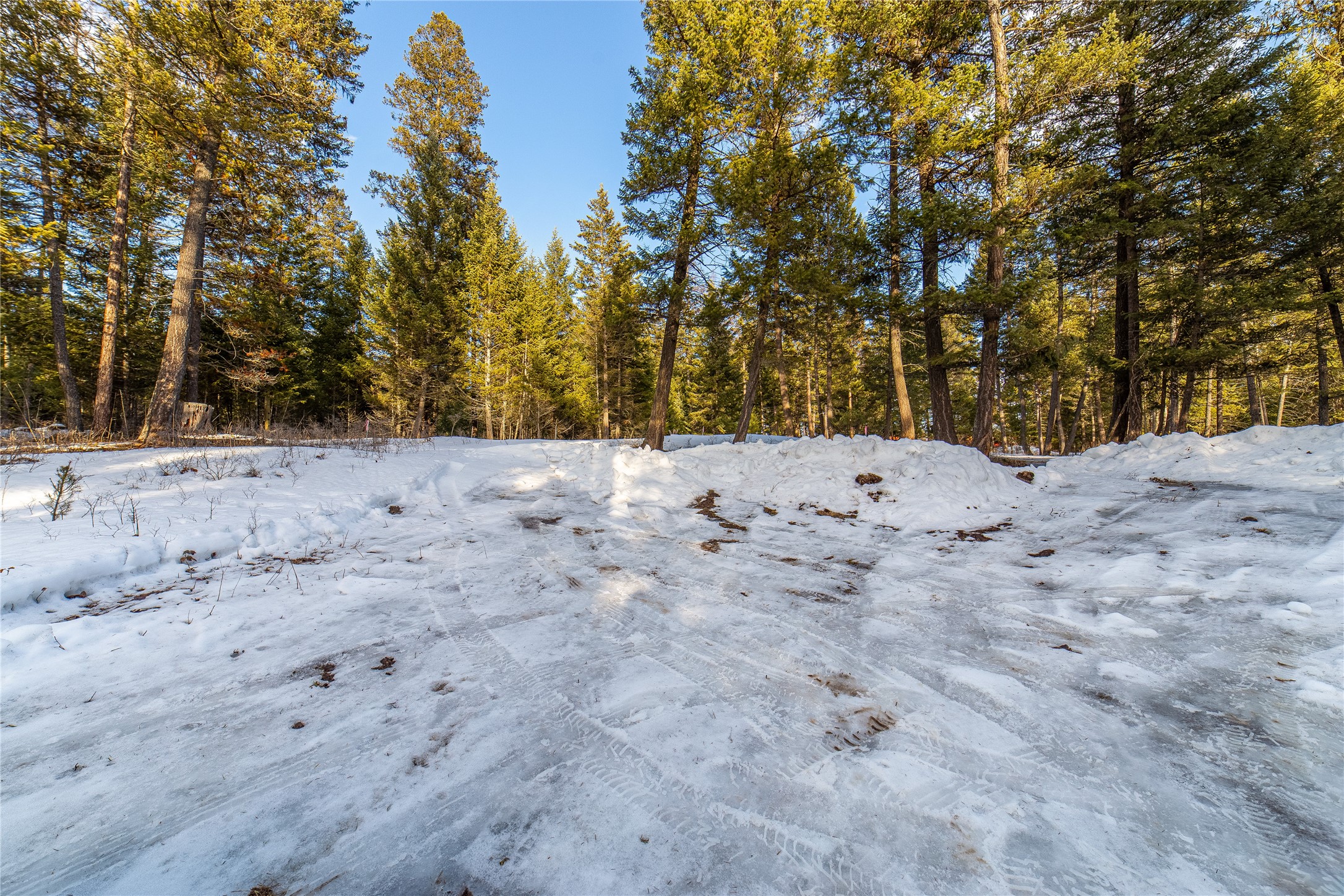 288 Hodgson Pines Way