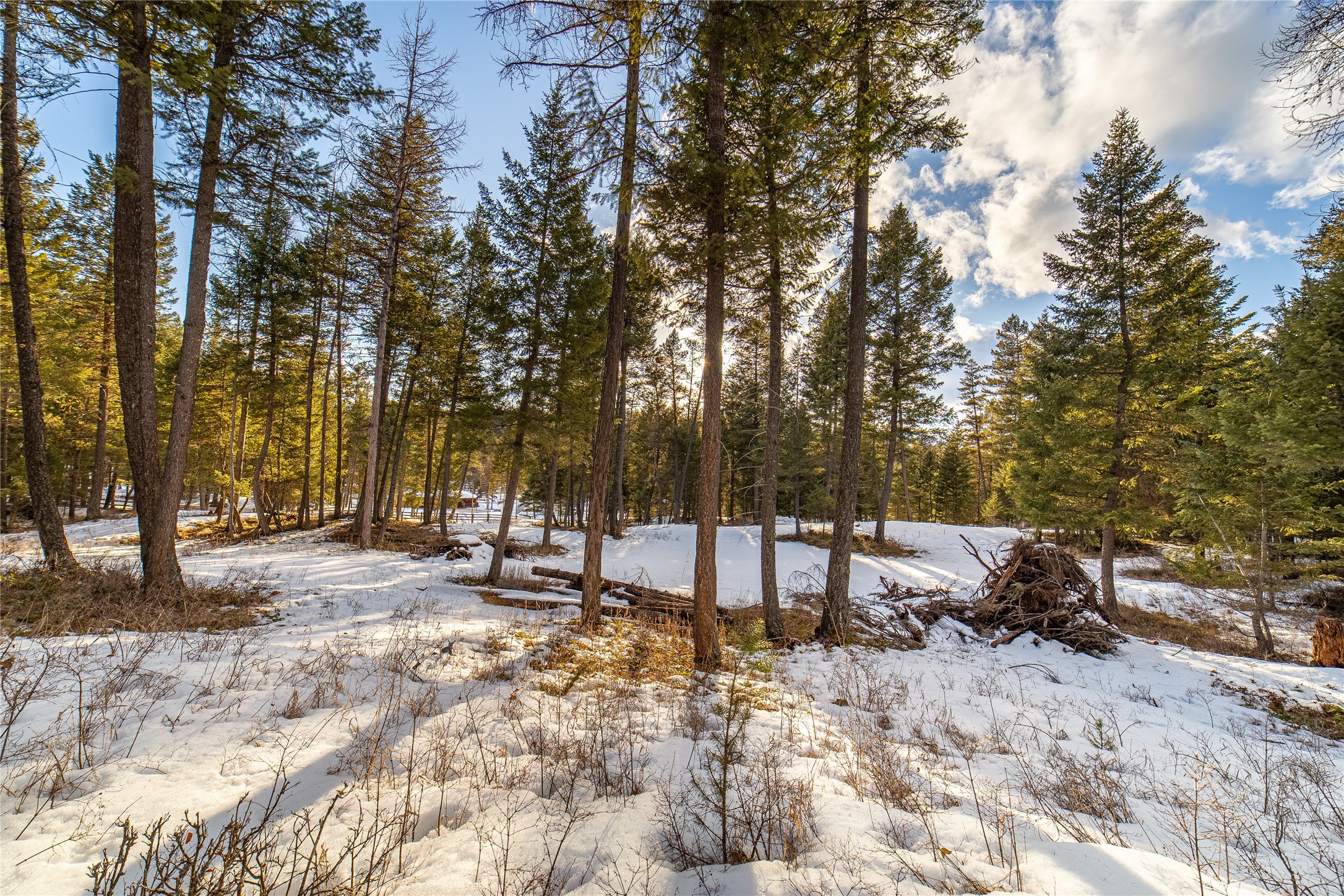 288 Hodgson Pines Way