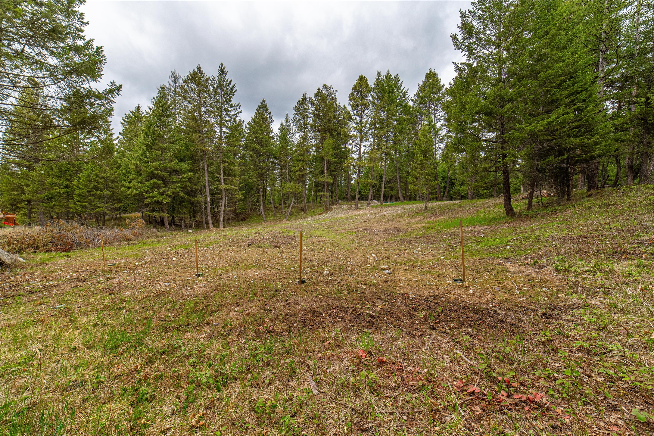 288 Hodgson Pines Way