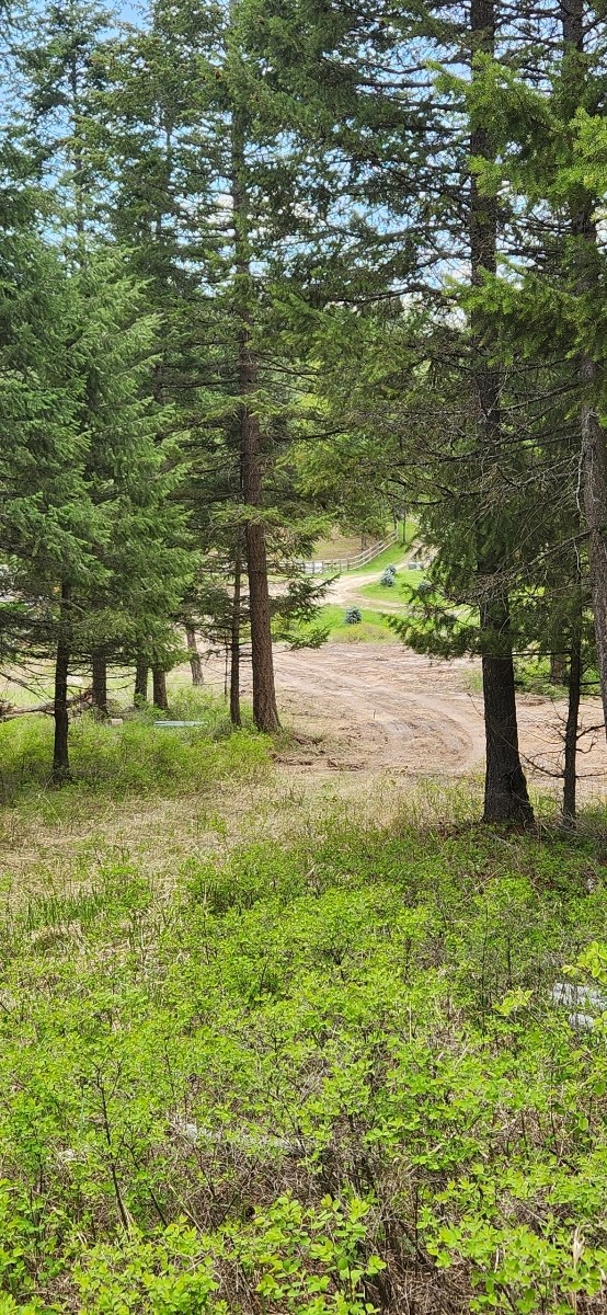 288 Hodgson Pines Way