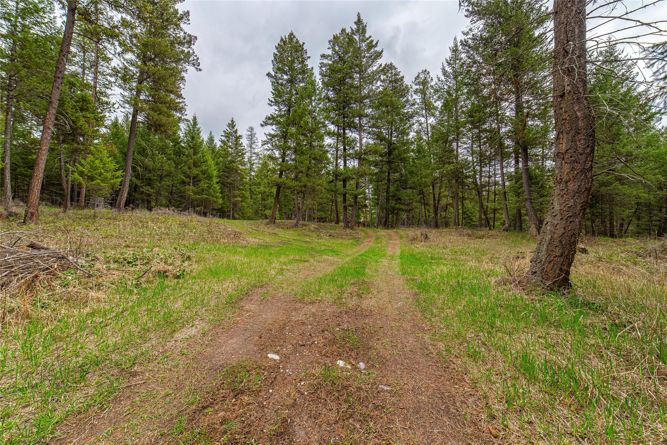 288 Hodgson Pines Way