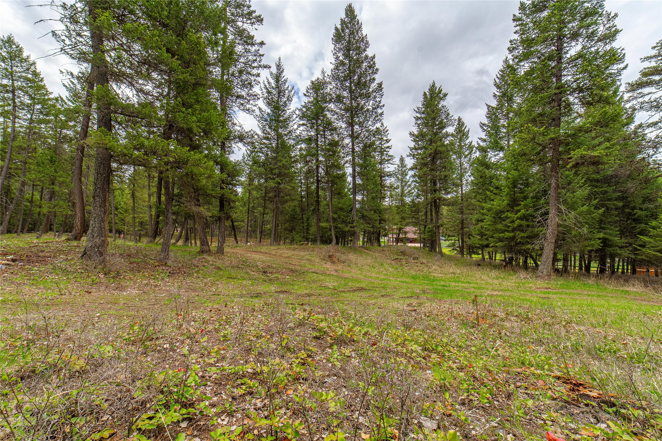 288 Hodgson Pines Way