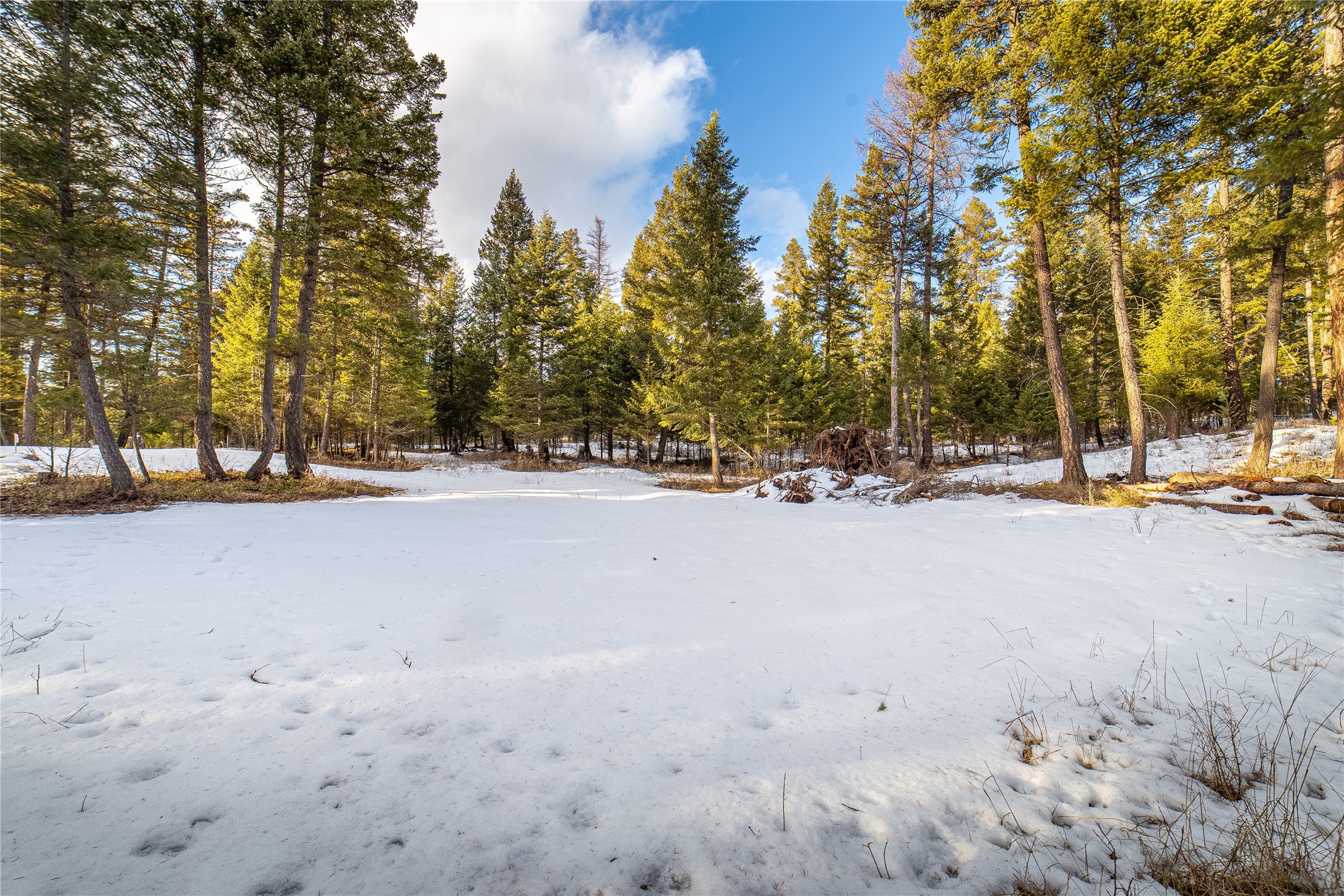 288 Hodgson Pines Way