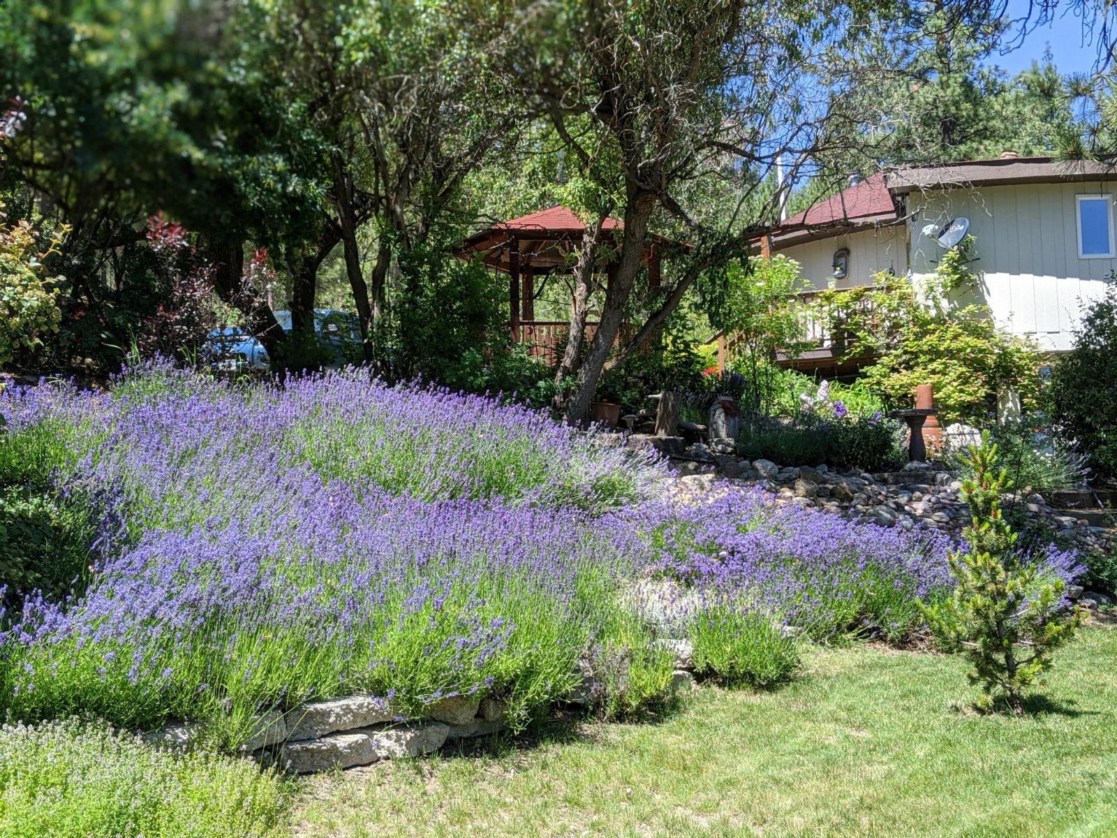 860 Upper Sweeney Creek Loop