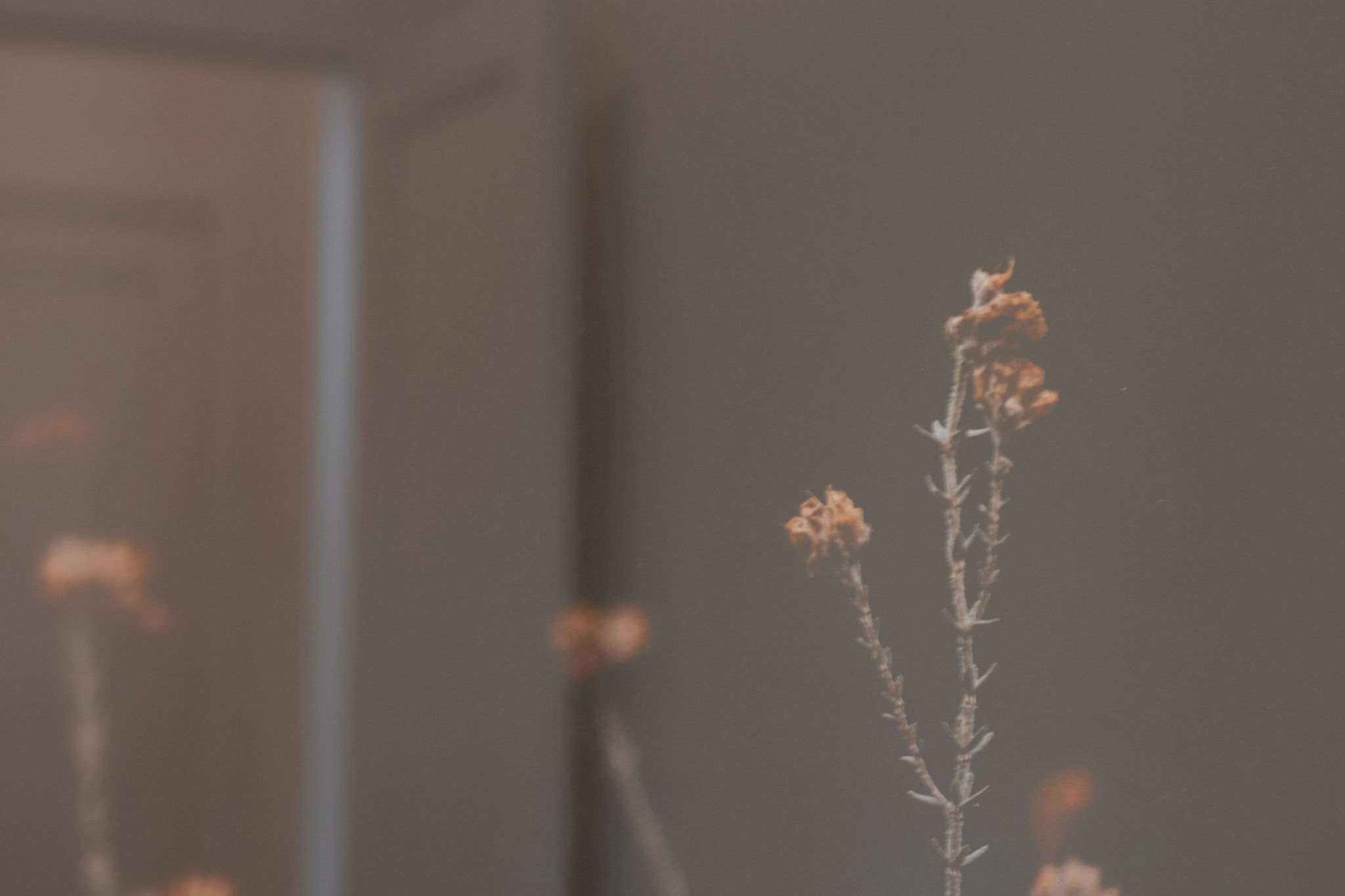 311 Sandalwood Lane Lot 6