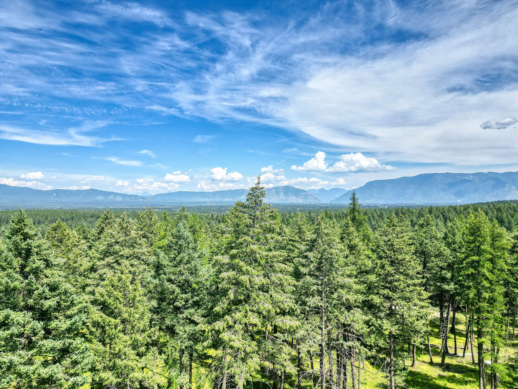 316 Sandalwood Lane Lot 3