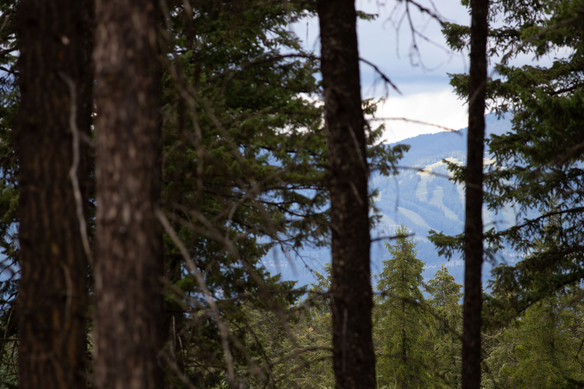 149 Rosewood Lane Lot 8