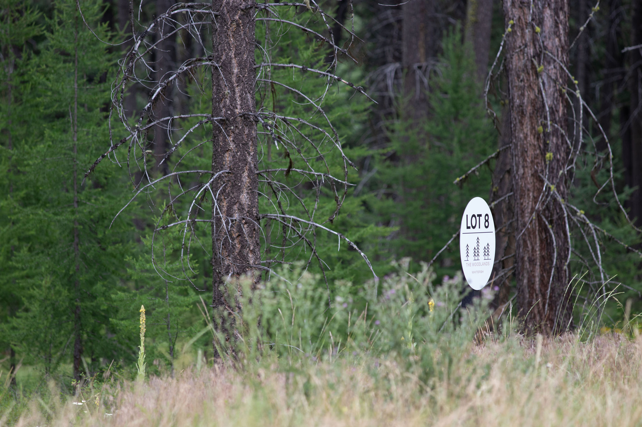 149 Rosewood Lane Lot 8