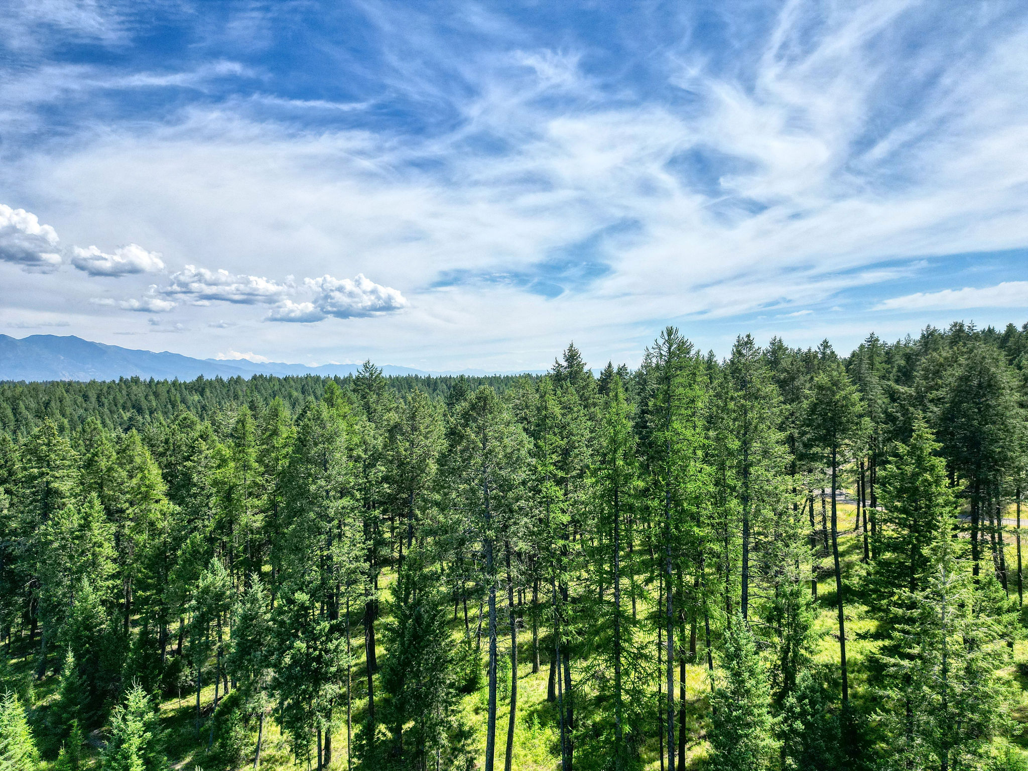 149 Rosewood Lane Lot 8