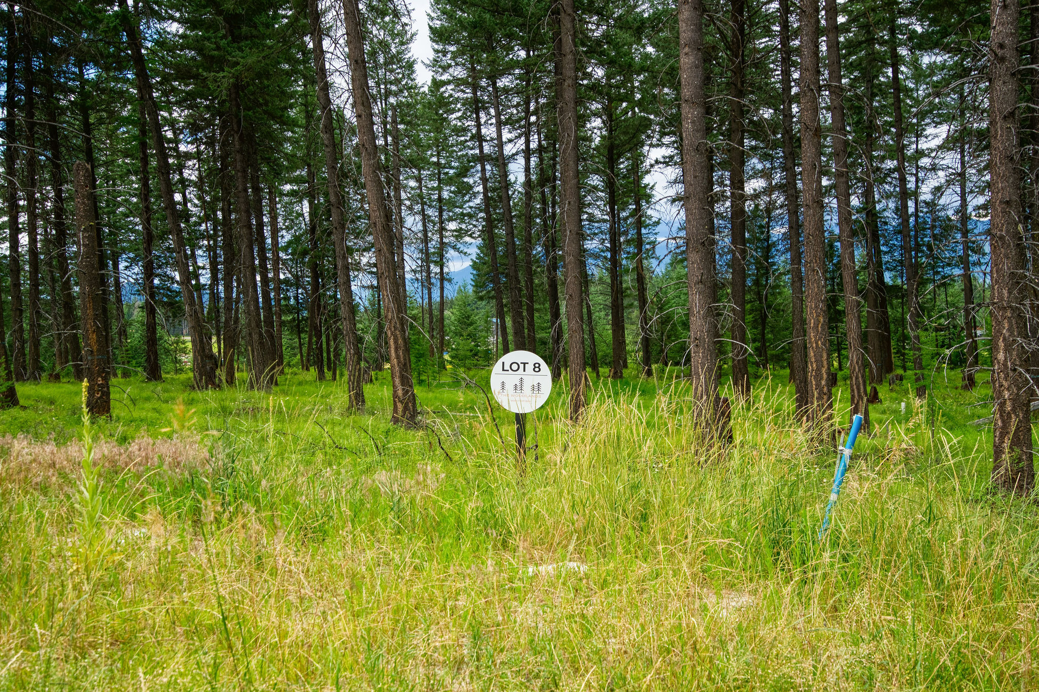 149 Rosewood Lane Lot 8