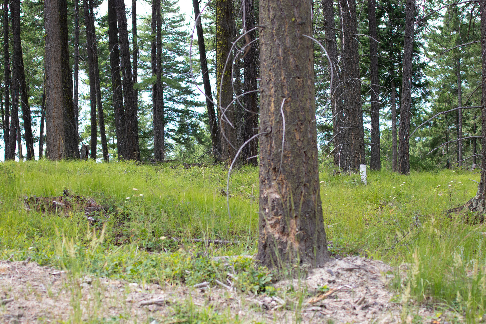 149 Rosewood Lane Lot 8