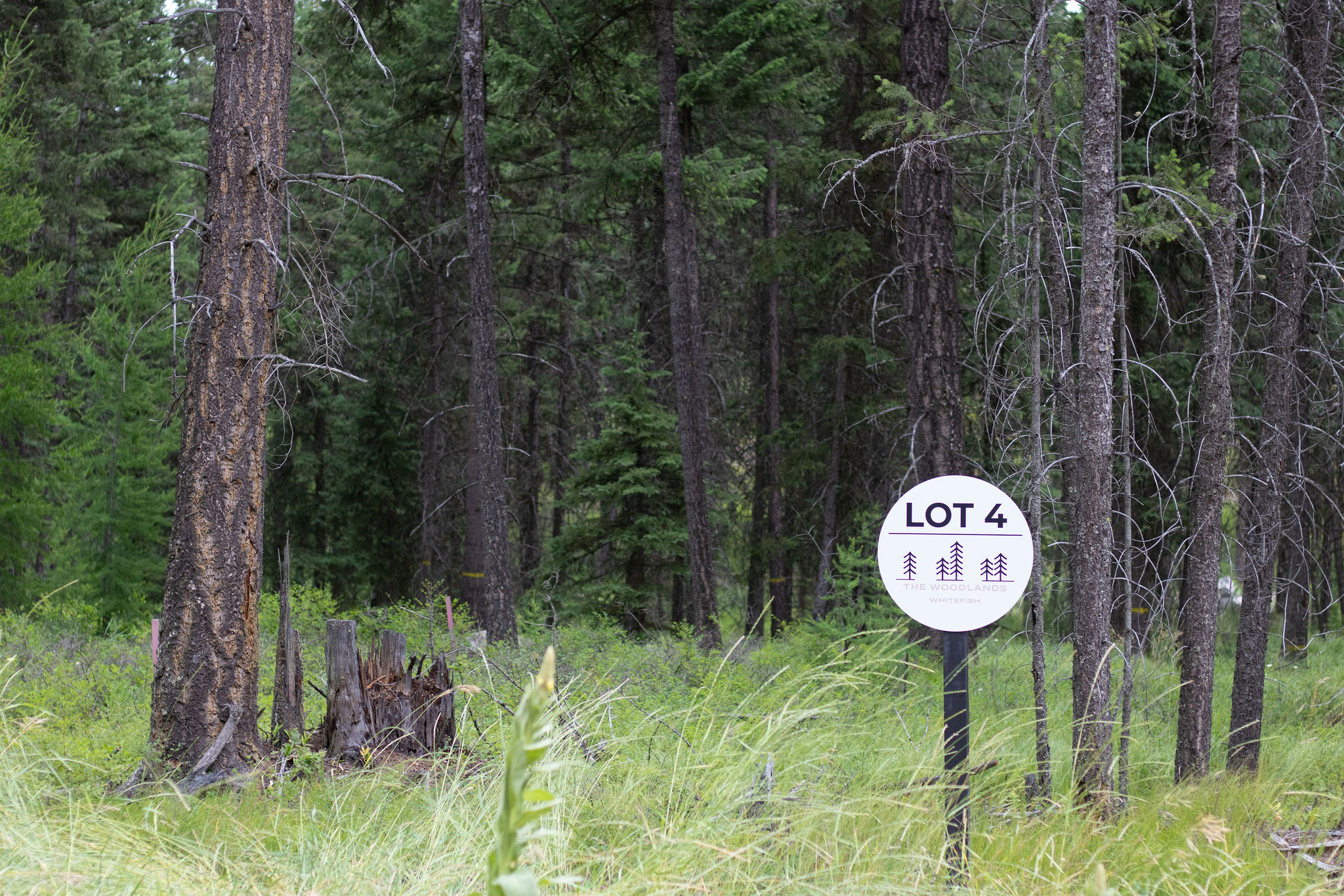 Address To Be Determined The Woodlands Lot 4