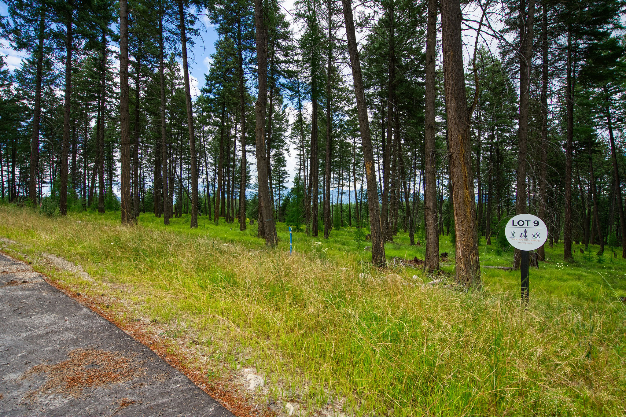 Address To Be Determined The Woodlands Lot 9