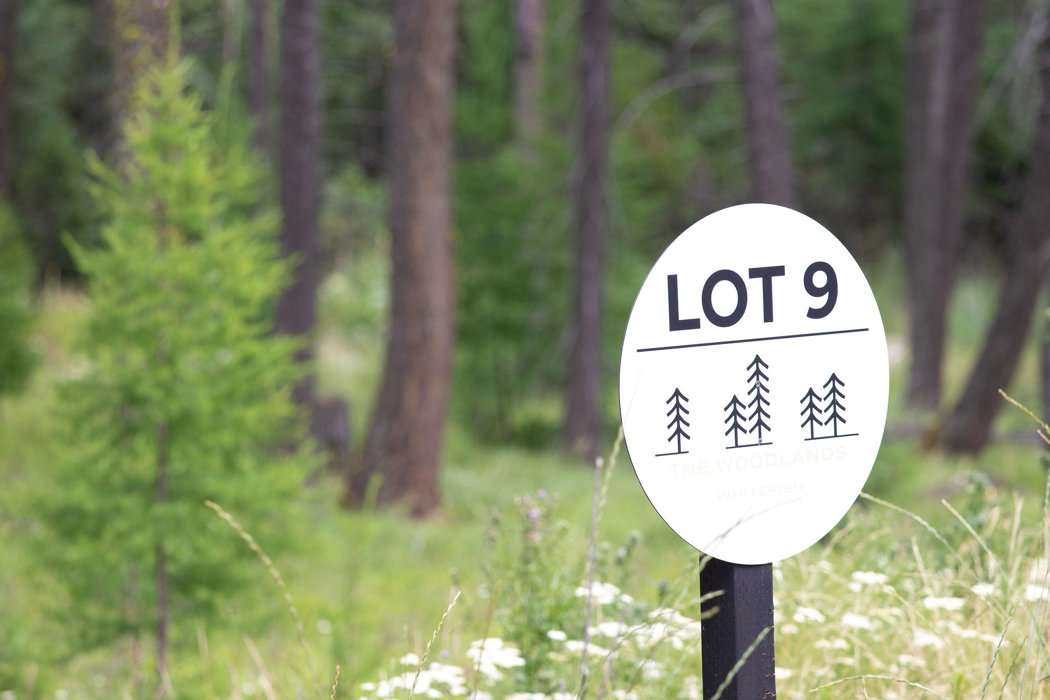 Address To Be Determined The Woodlands Lot 9