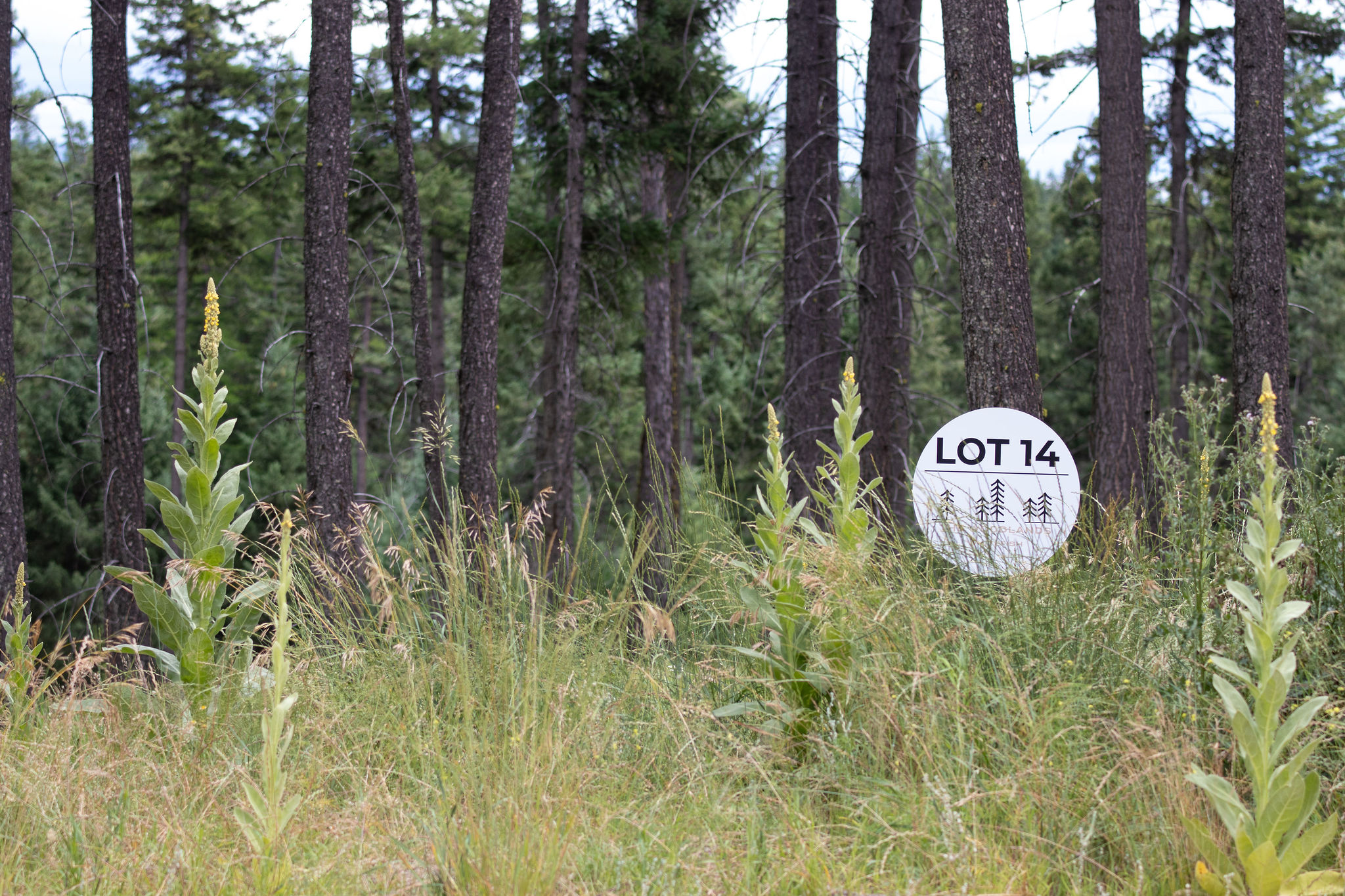 185 Rosewood Lane Lot 14