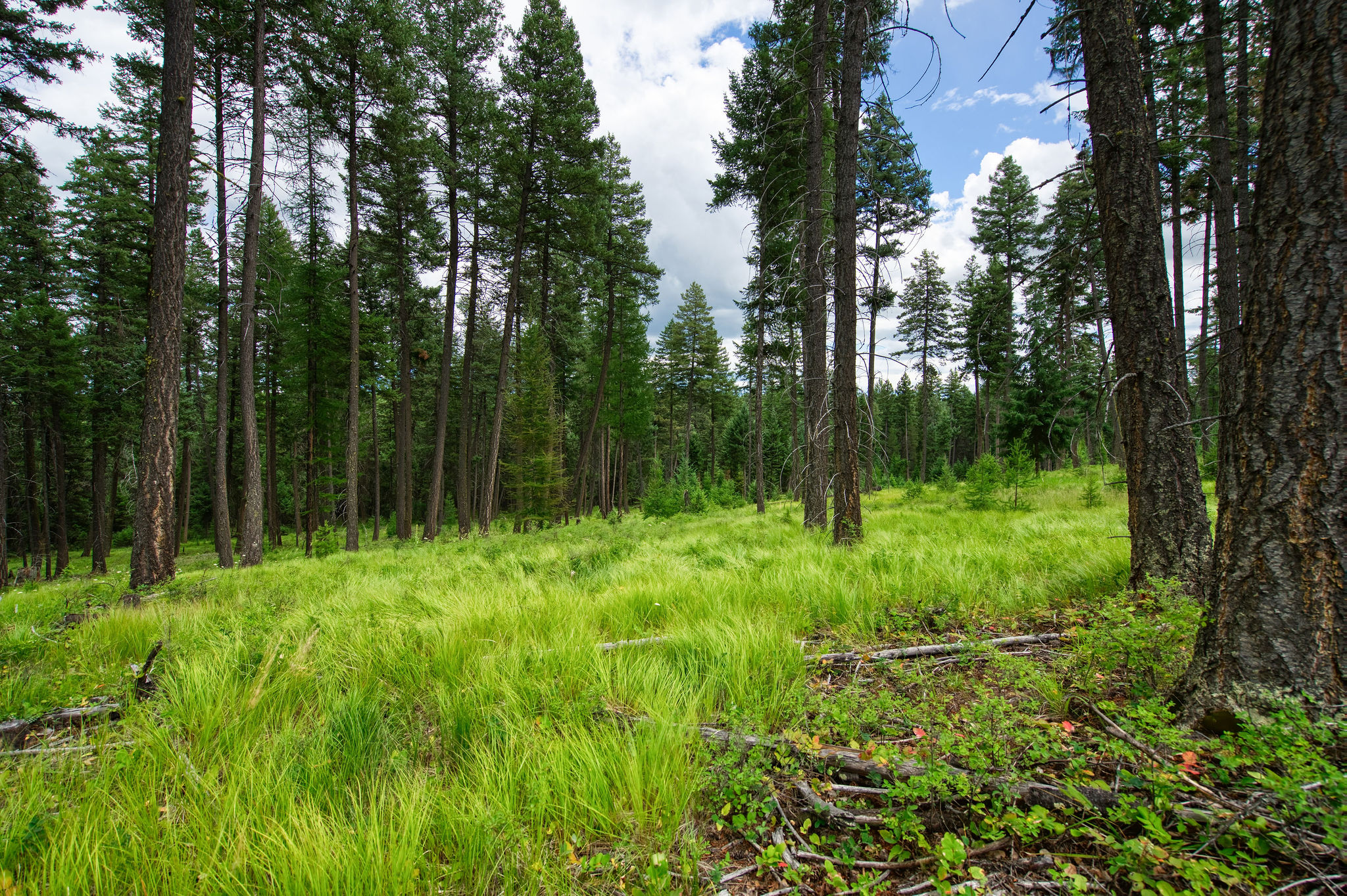 185 Rosewood Lane Lot 14