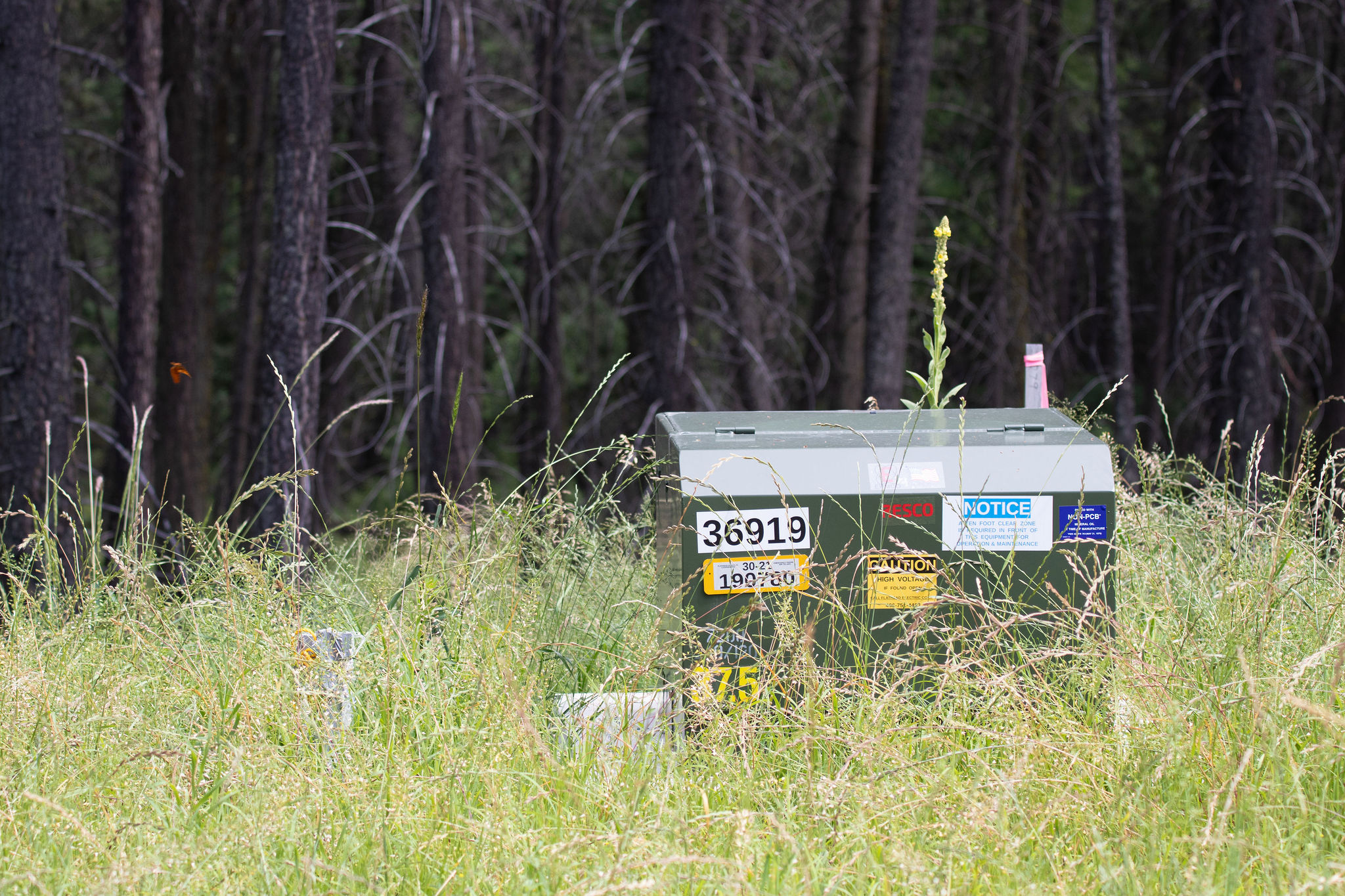 185 Rosewood Lane Lot 14