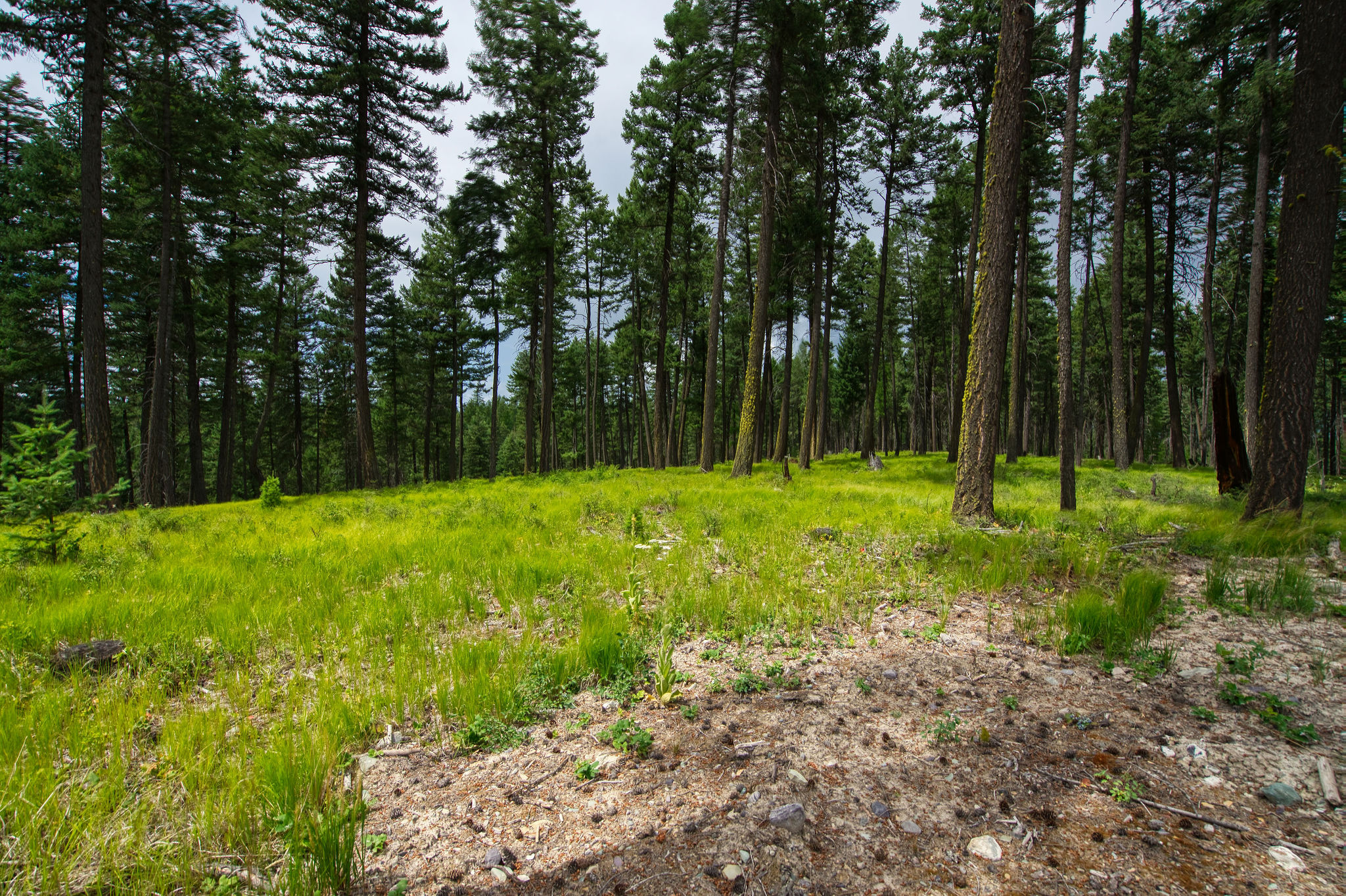 182 Rosewood Lane Lot 15