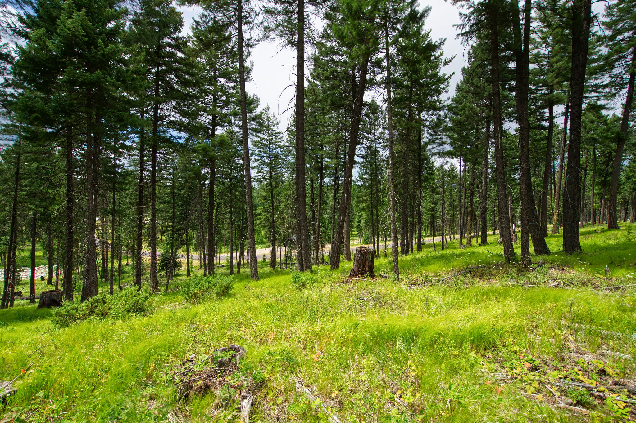 182 Rosewood Lane Lot 15