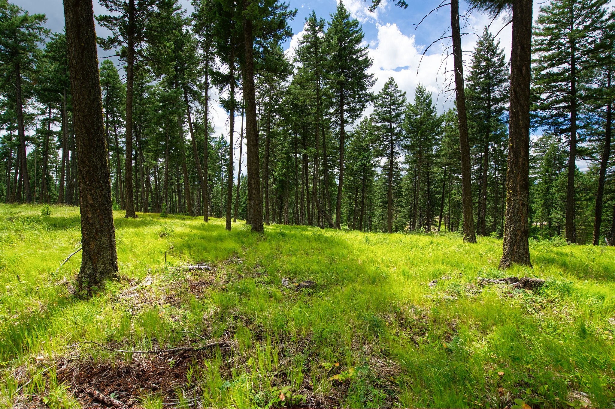 182 Rosewood Lane Lot 15