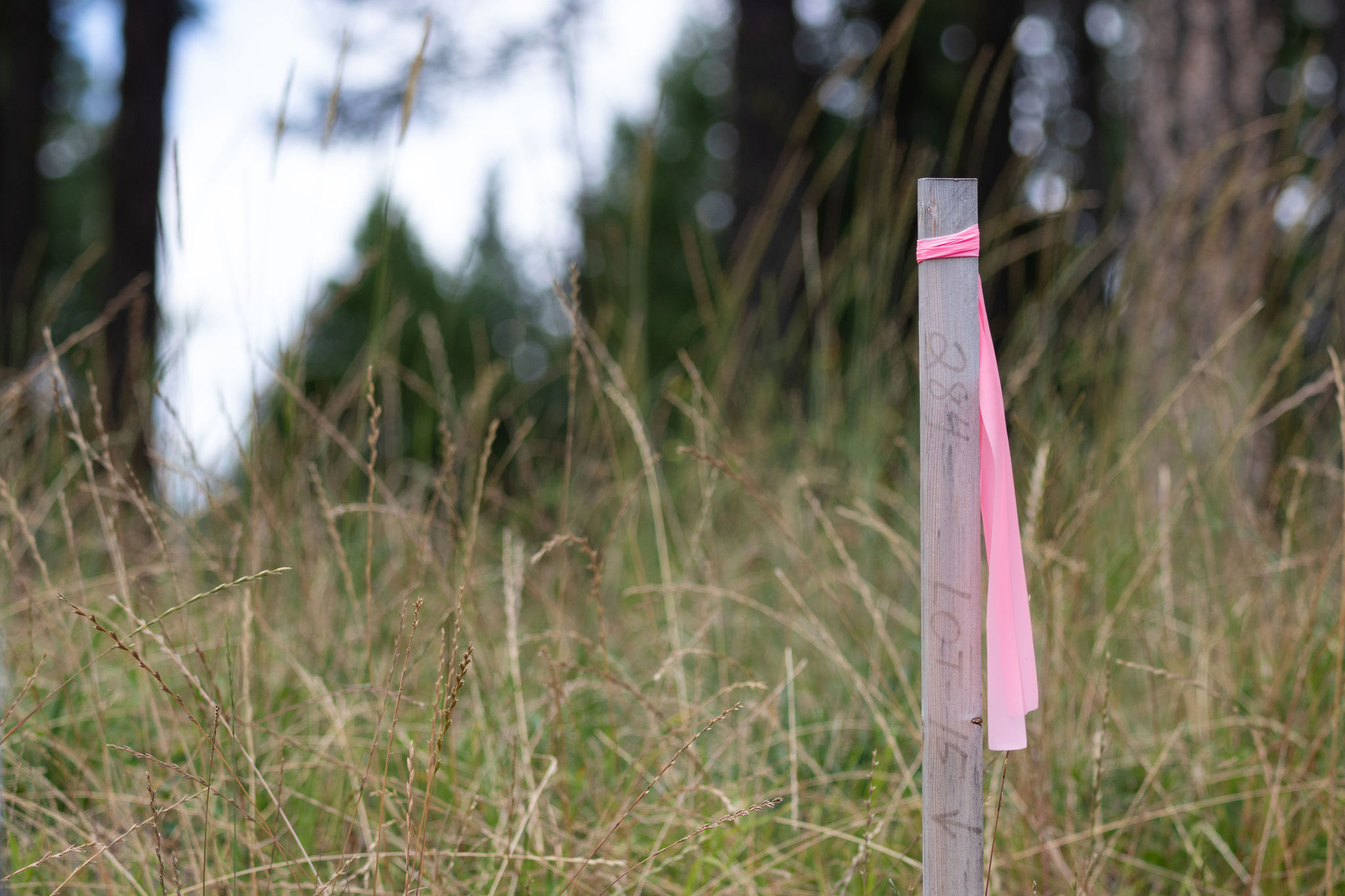 182 Rosewood Lane Lot 15