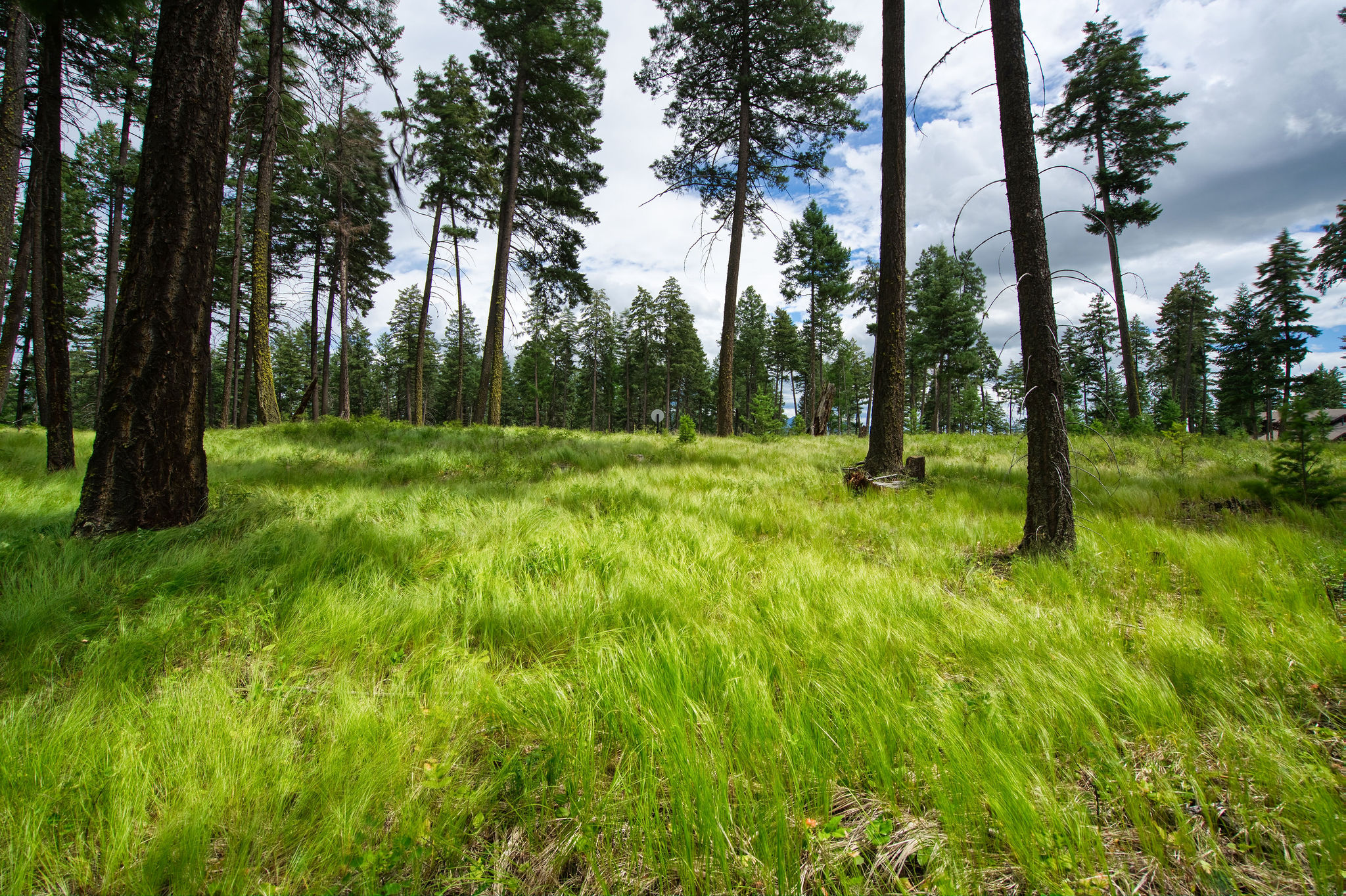 182 Rosewood Lane Lot 15