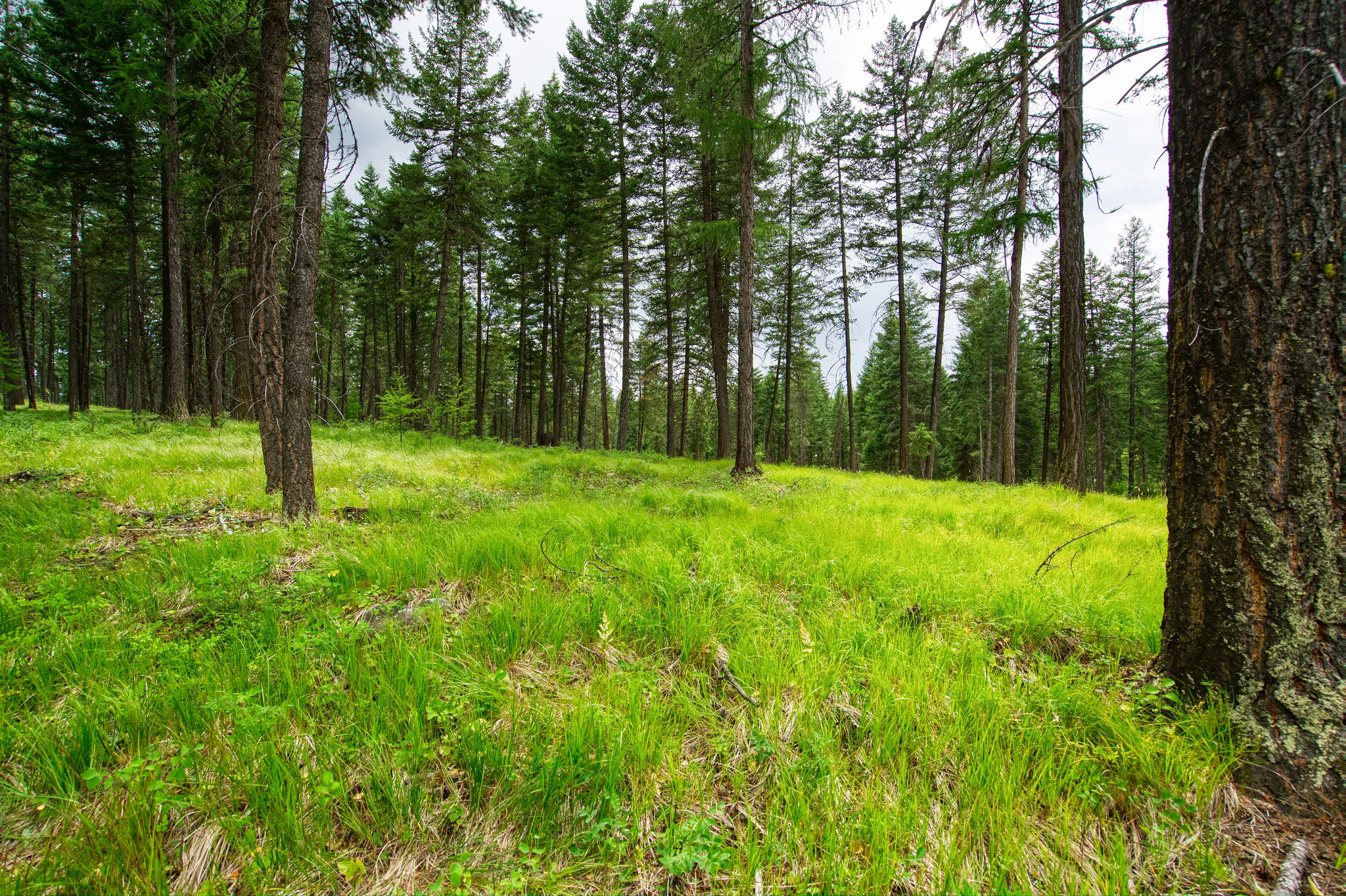 142 Rosewood Lane Lot 18