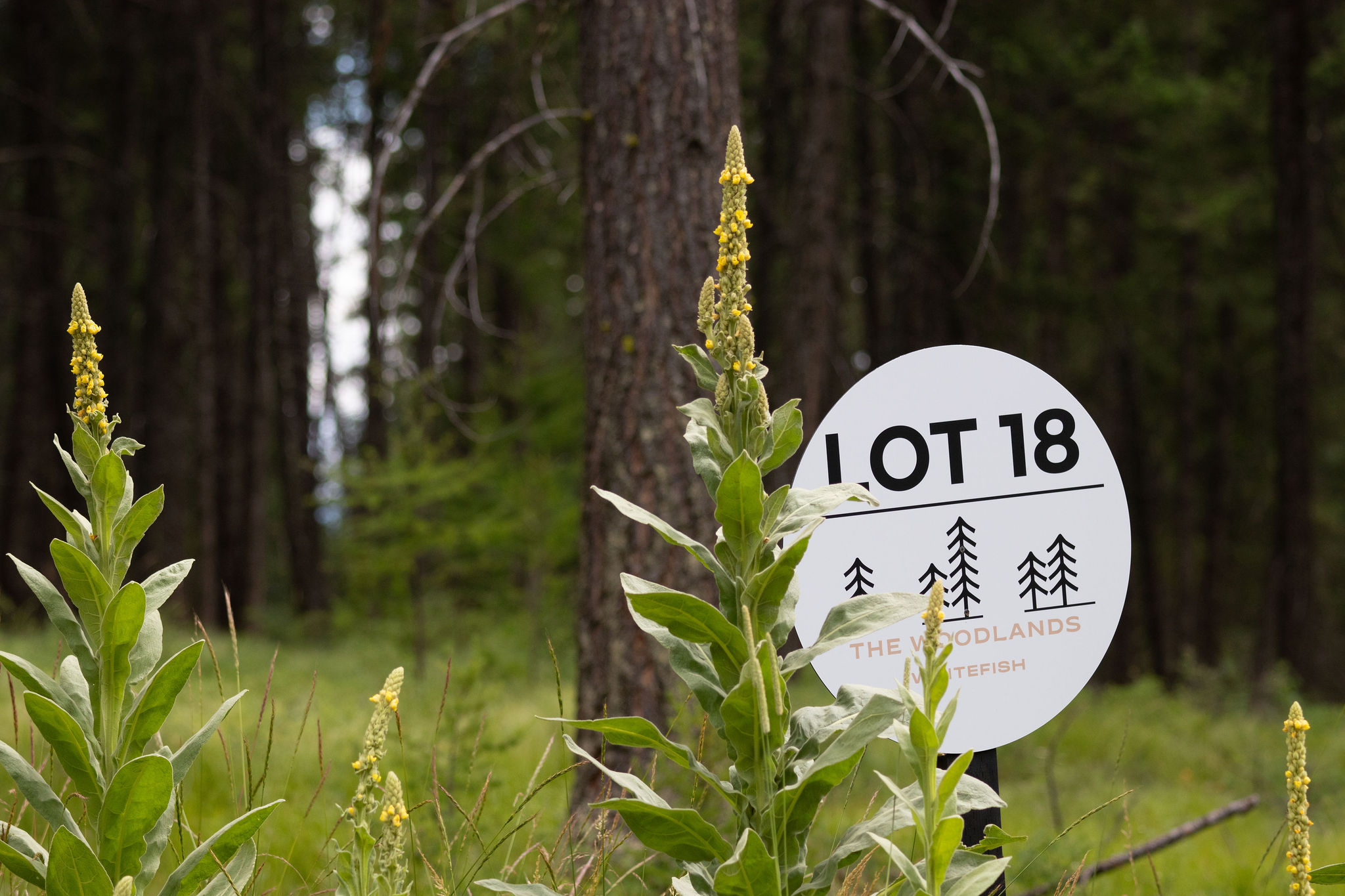 142 Rosewood Lane Lot 18