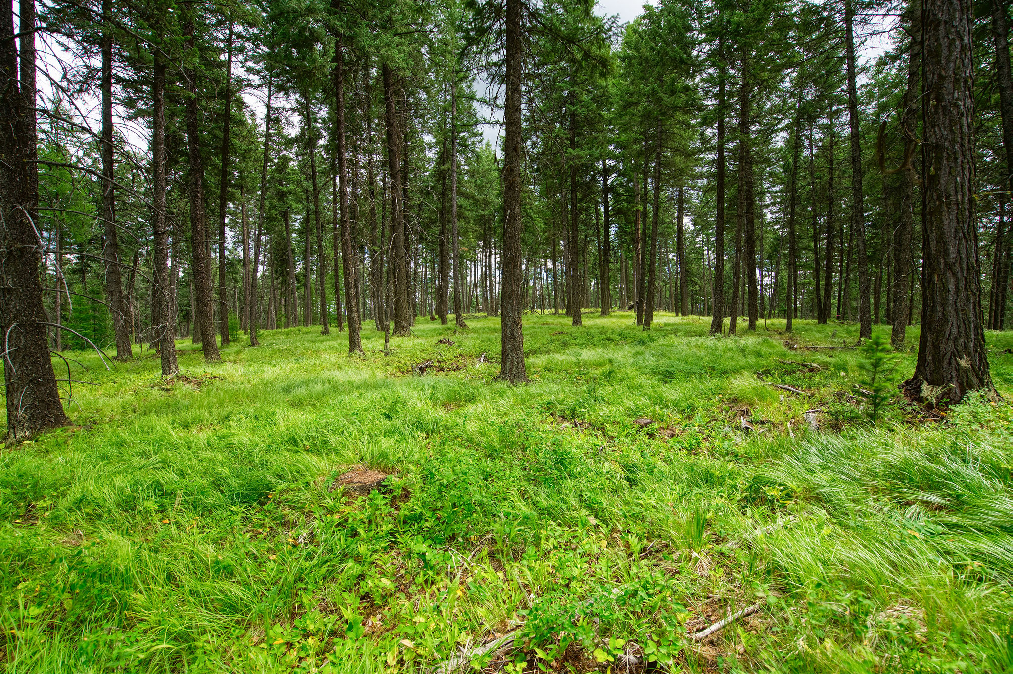 142 Rosewood Lane Lot 18