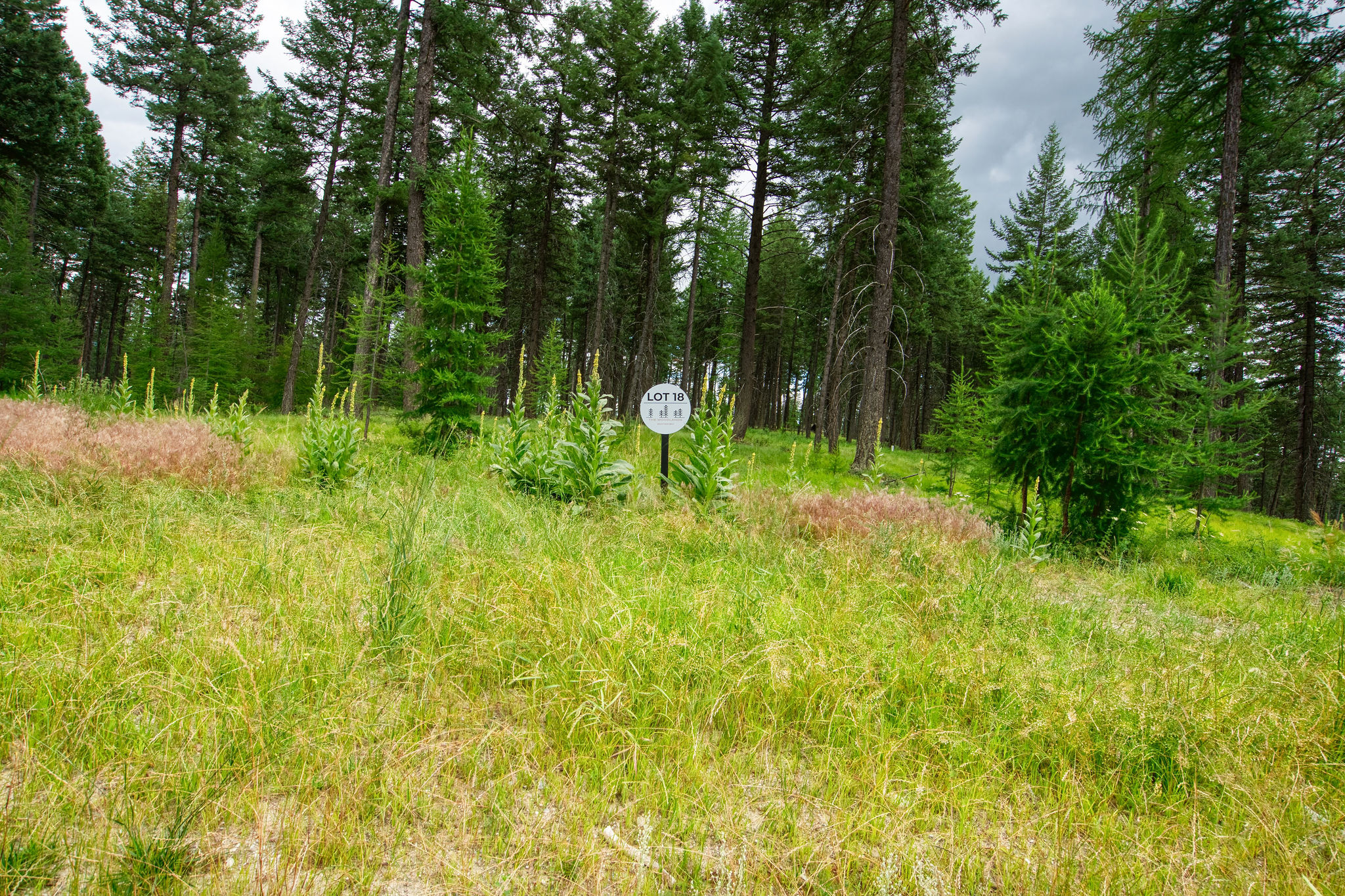 142 Rosewood Lane Lot 18