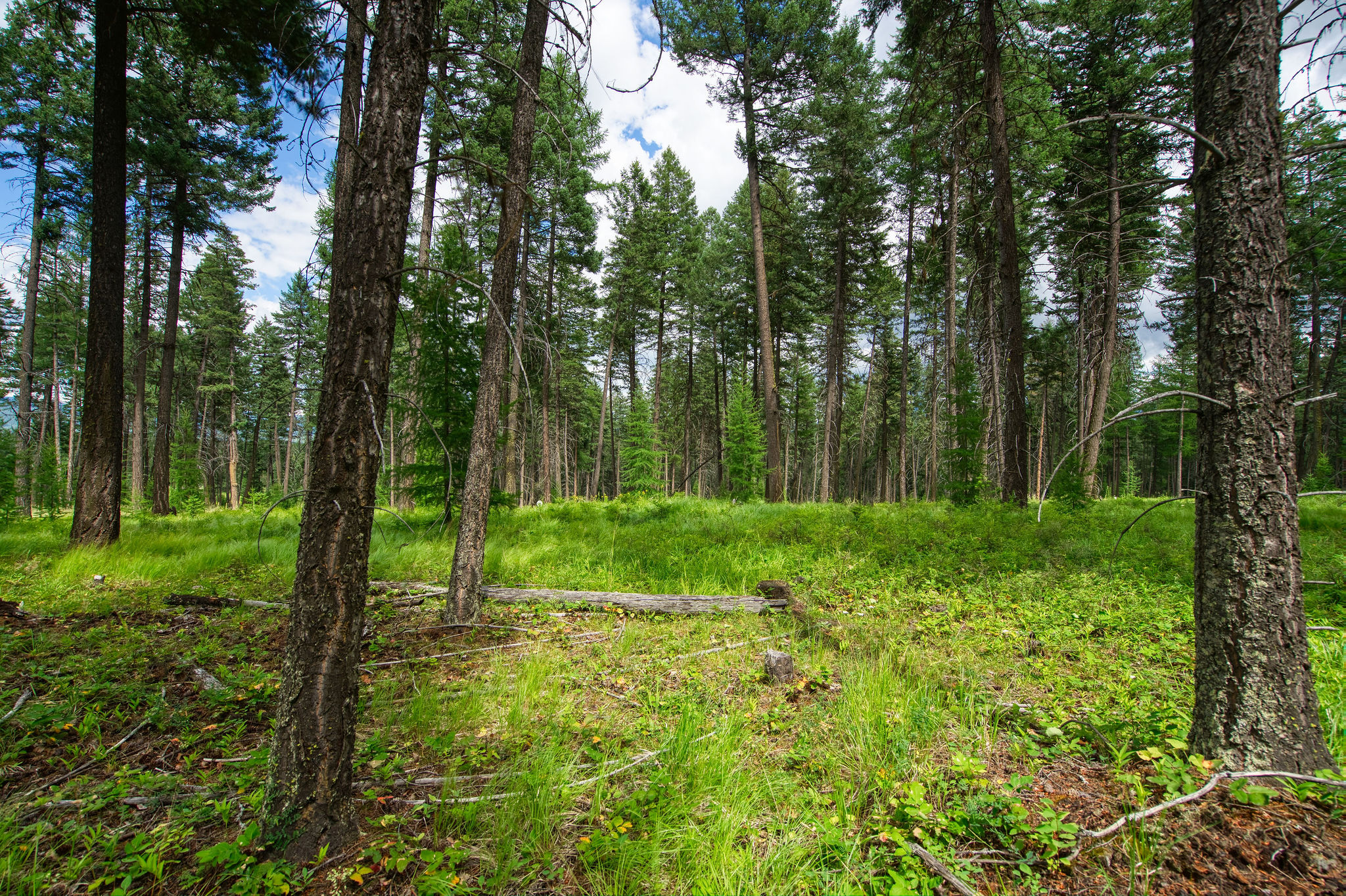 142 Rosewood Lane Lot 18