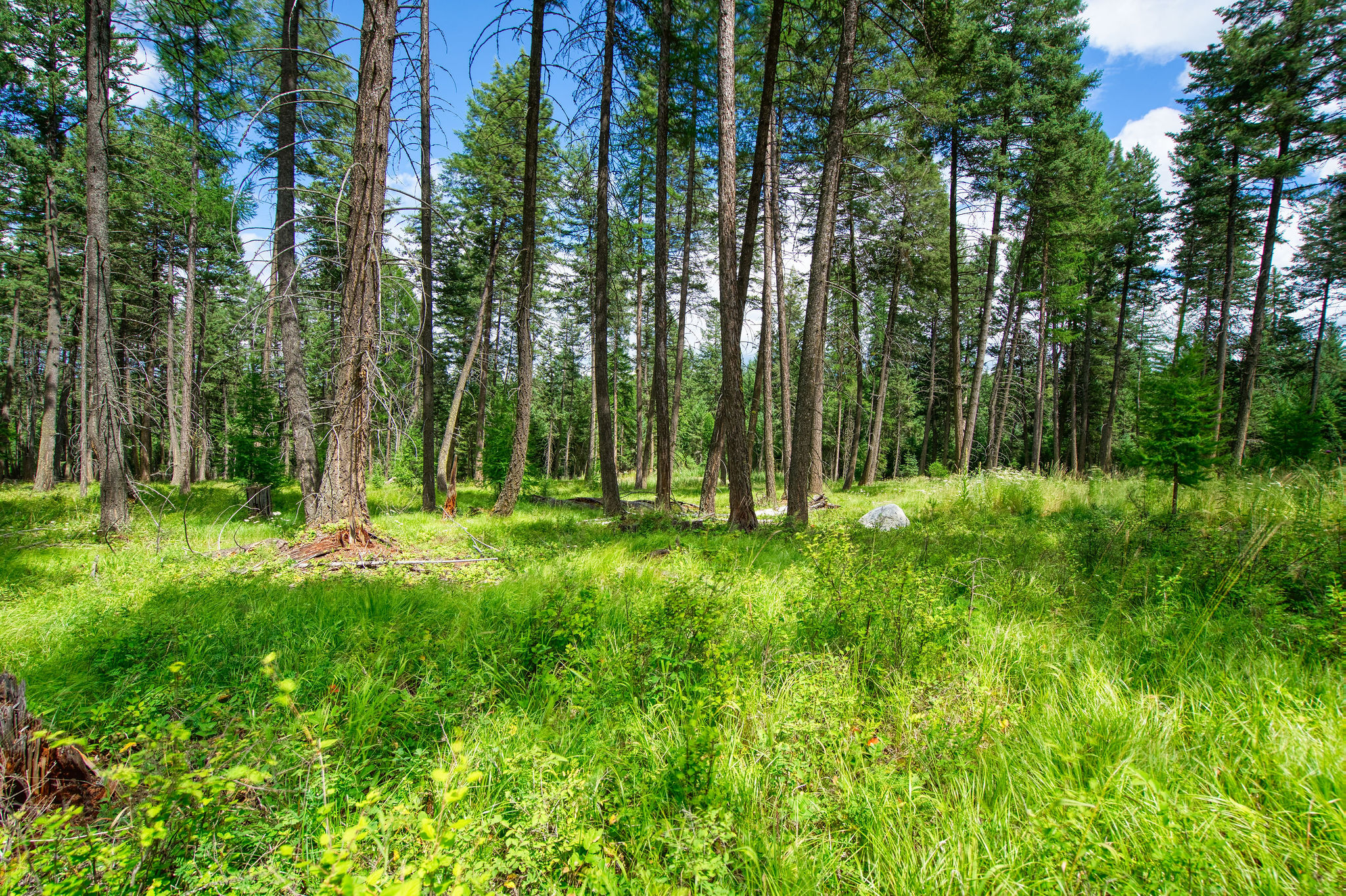 161 Rosewood Lot 10