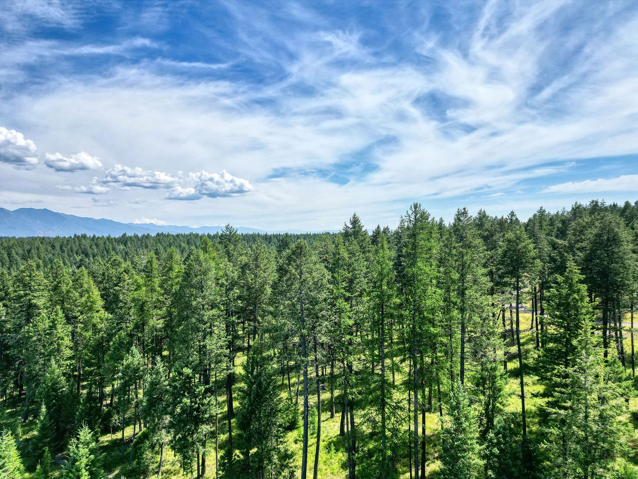 161 Rosewood Lot 10