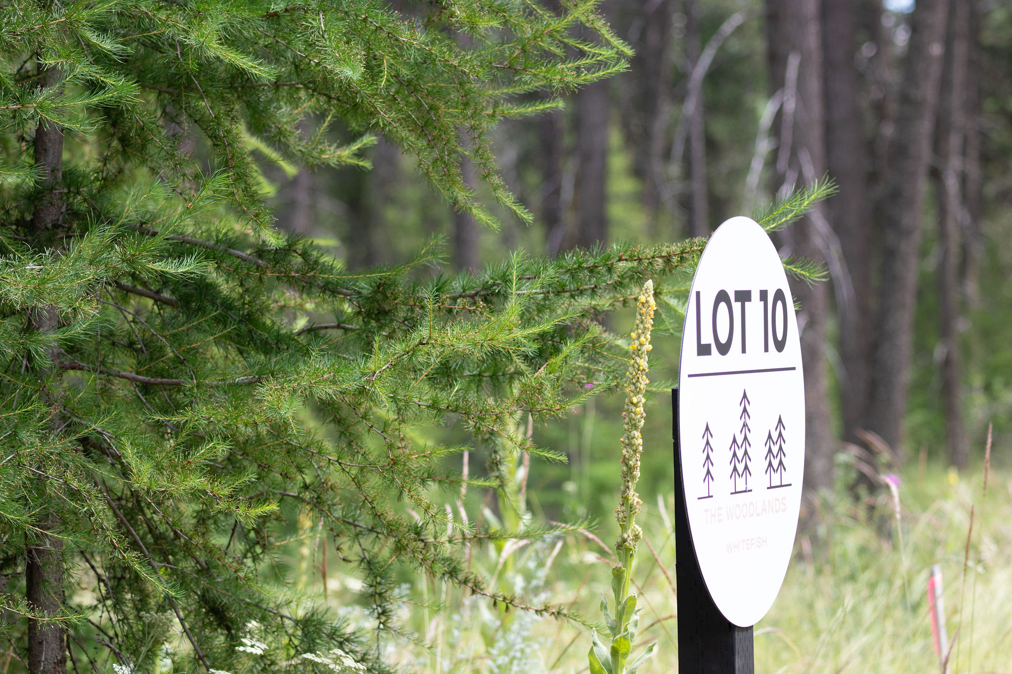 161 Rosewood Lot 10