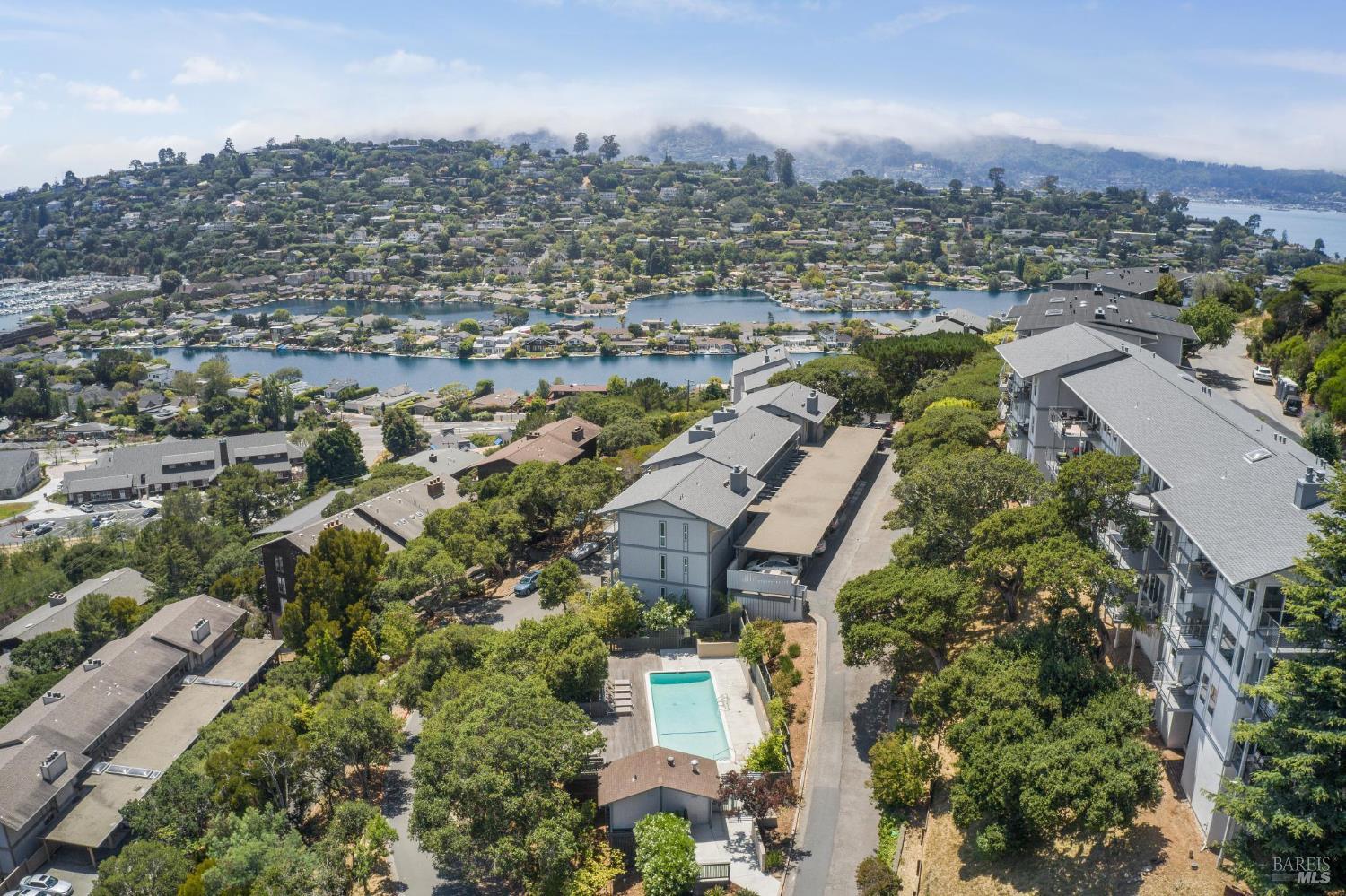 SOLD! MULTIPLE OFFERS!  Spectacular View Condo Near Tiburon Village!