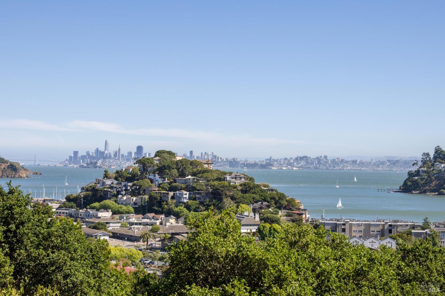 SOLD! MULTIPLE OFFERS!  Spectacular View Condo Near Tiburon Village!