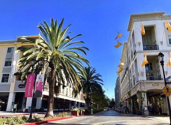333 Santana Row 239