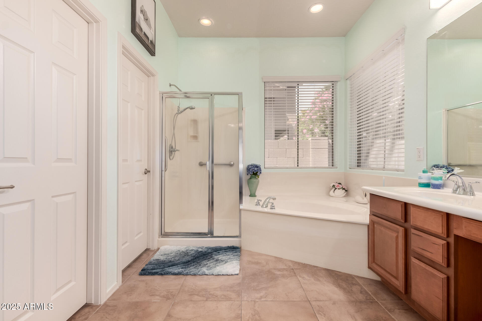 43906 W MCCLELLAND Drive